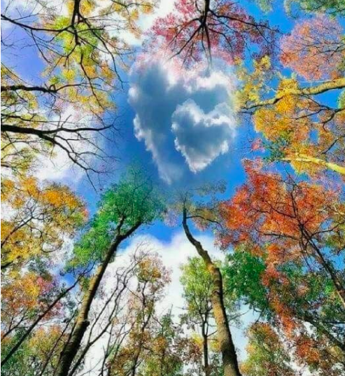  Image from Pinterest 