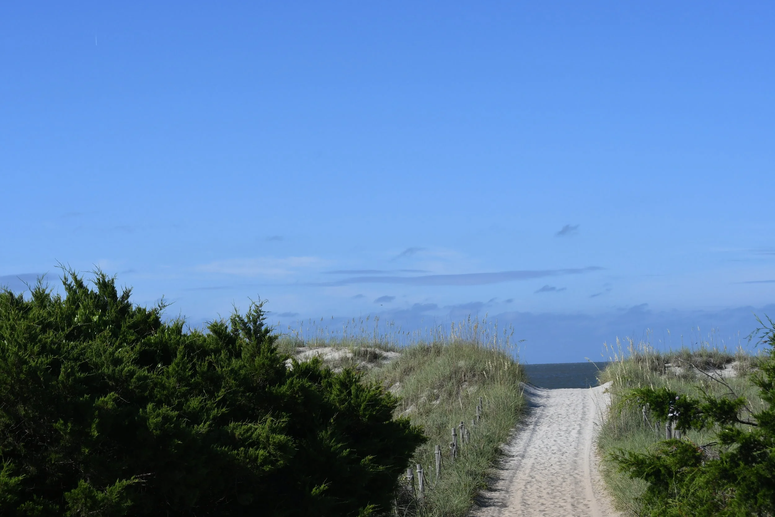  Path leading to the ocean 