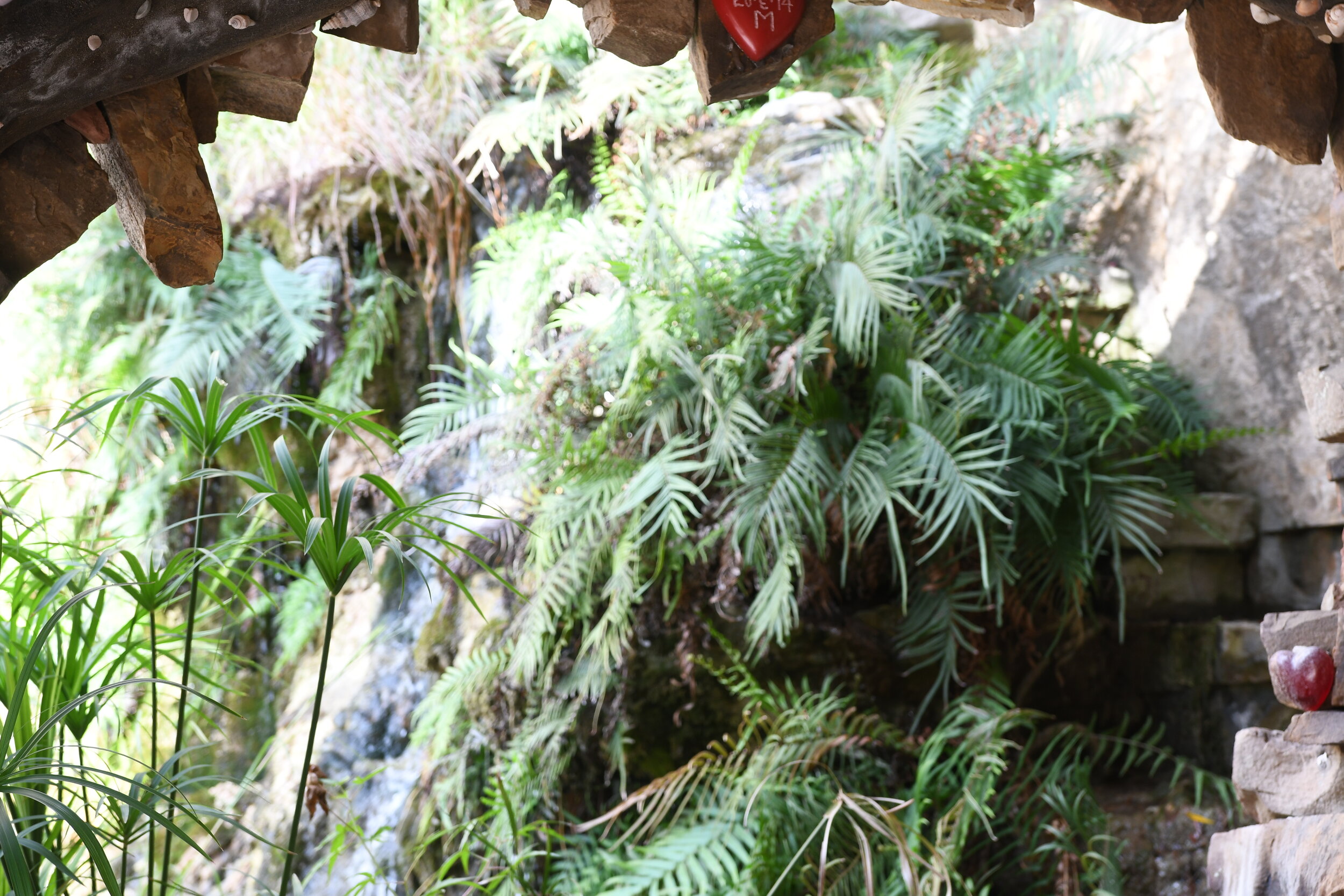 DSC_7628.jpg