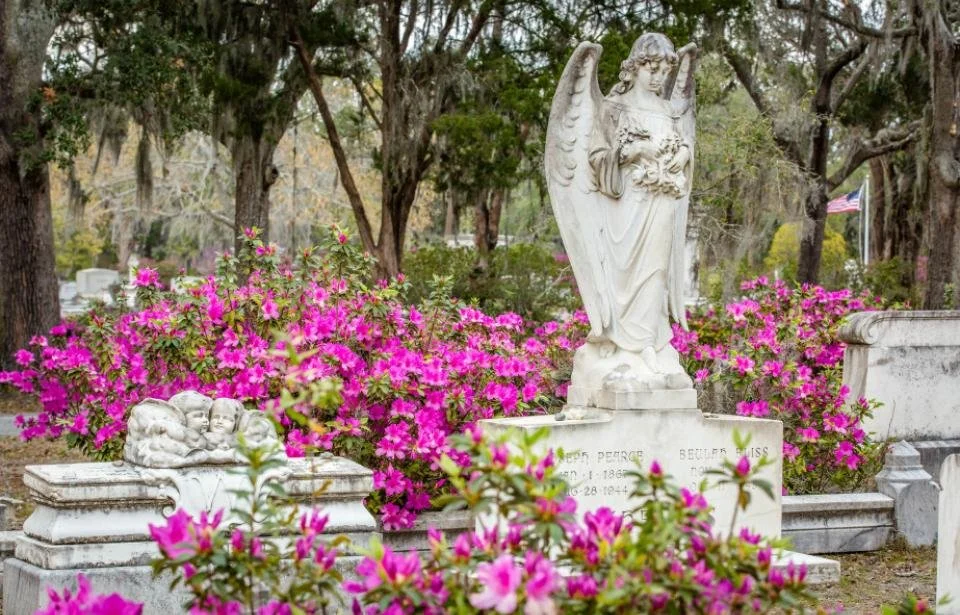 listing-6129-bonaventure-cemetery-savannah-ga0-67e7369e5056a36_67e737ff-5056-a36a-08f4a7a03a45433a.jpeg