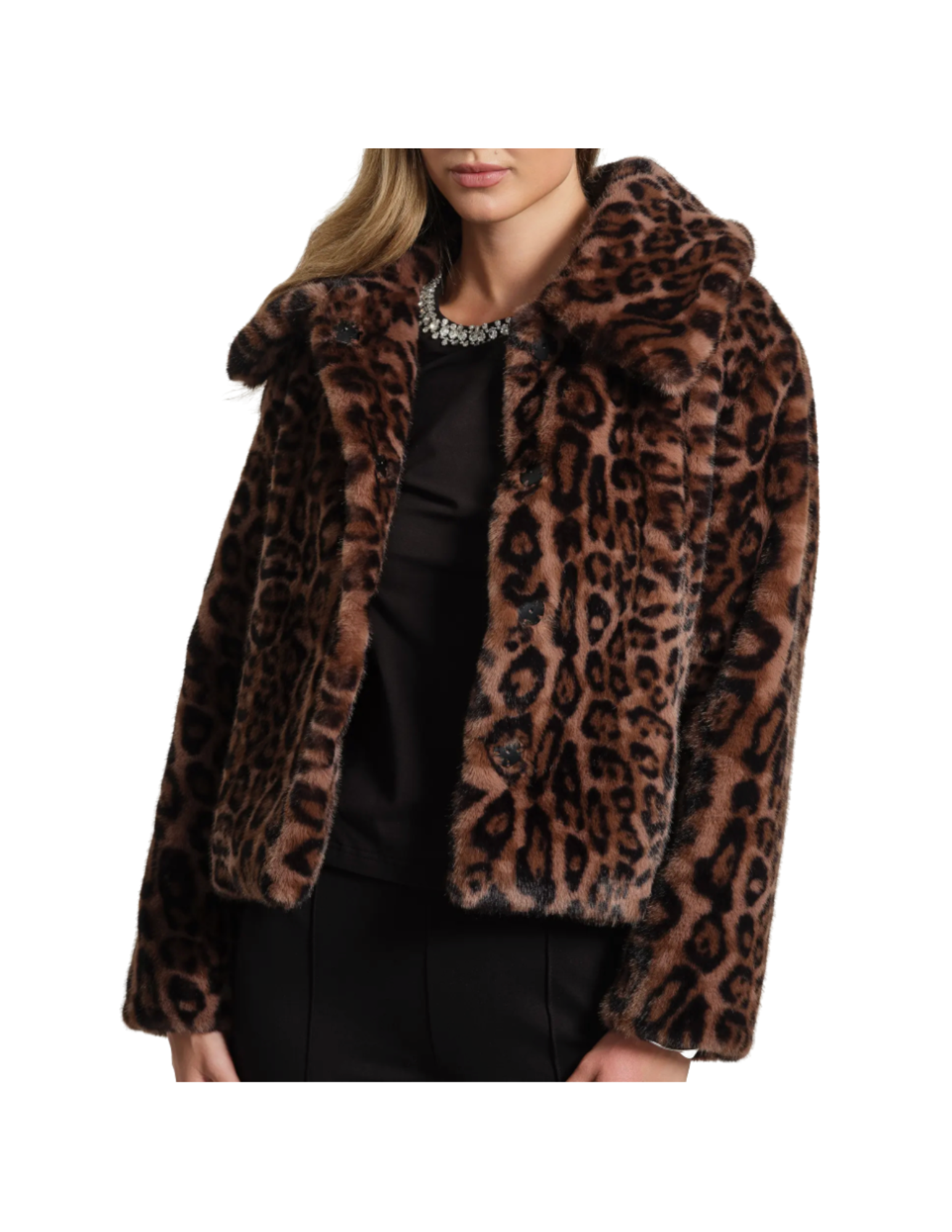 Shop Here