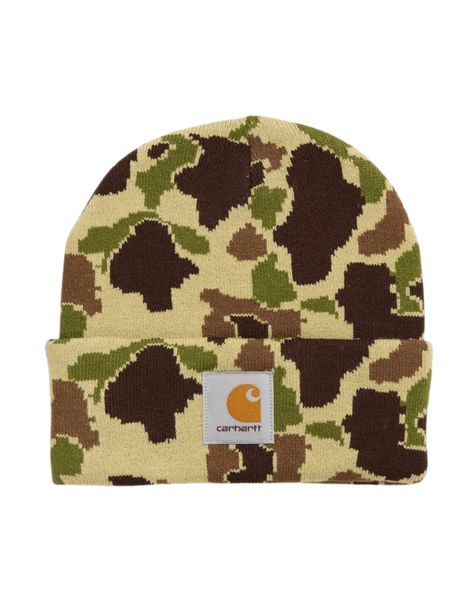 Shop Here