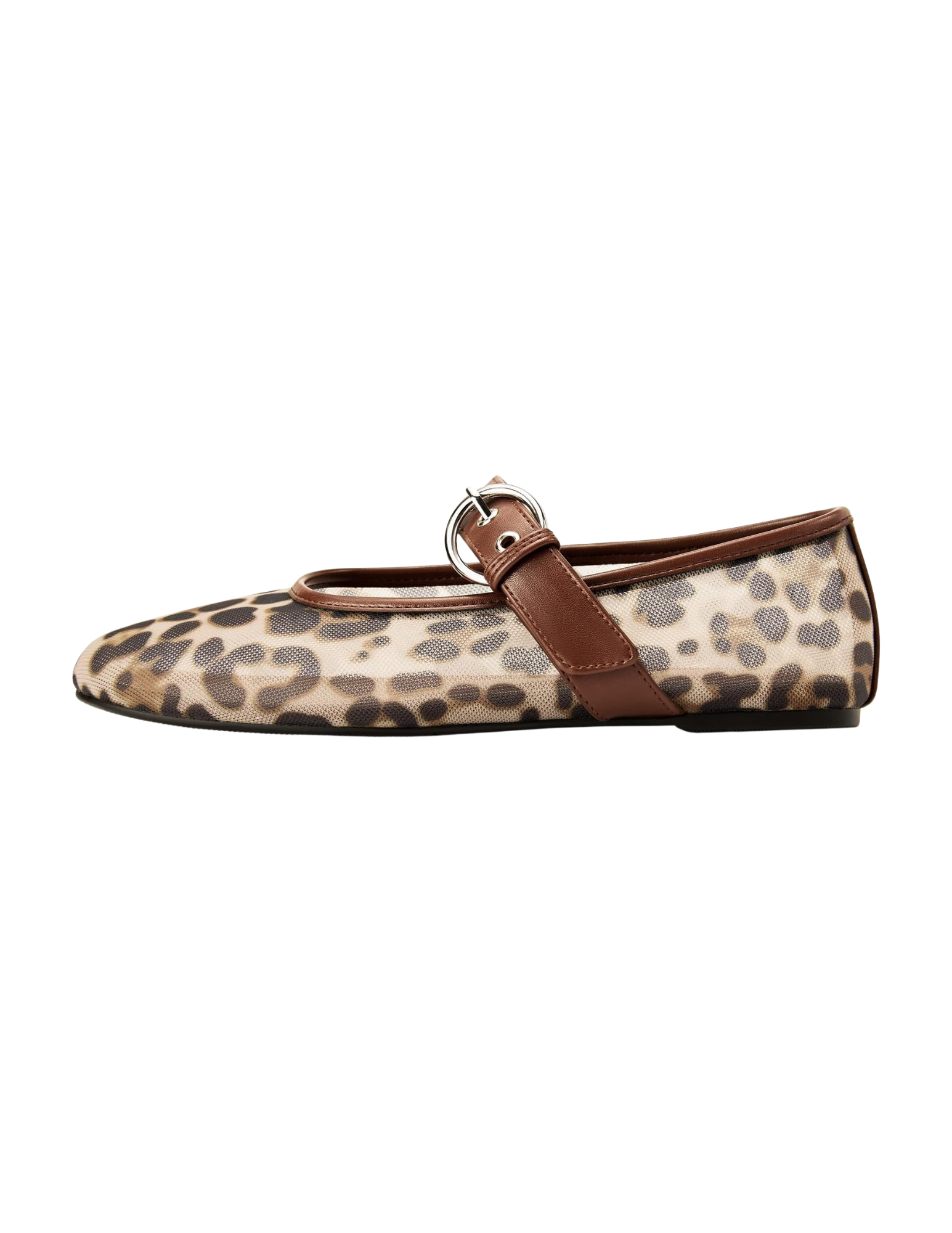 Shop Here