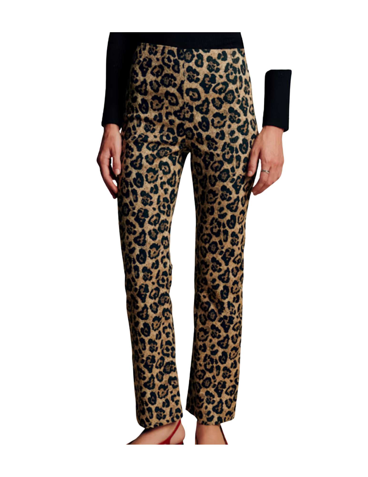   Shop Here   
