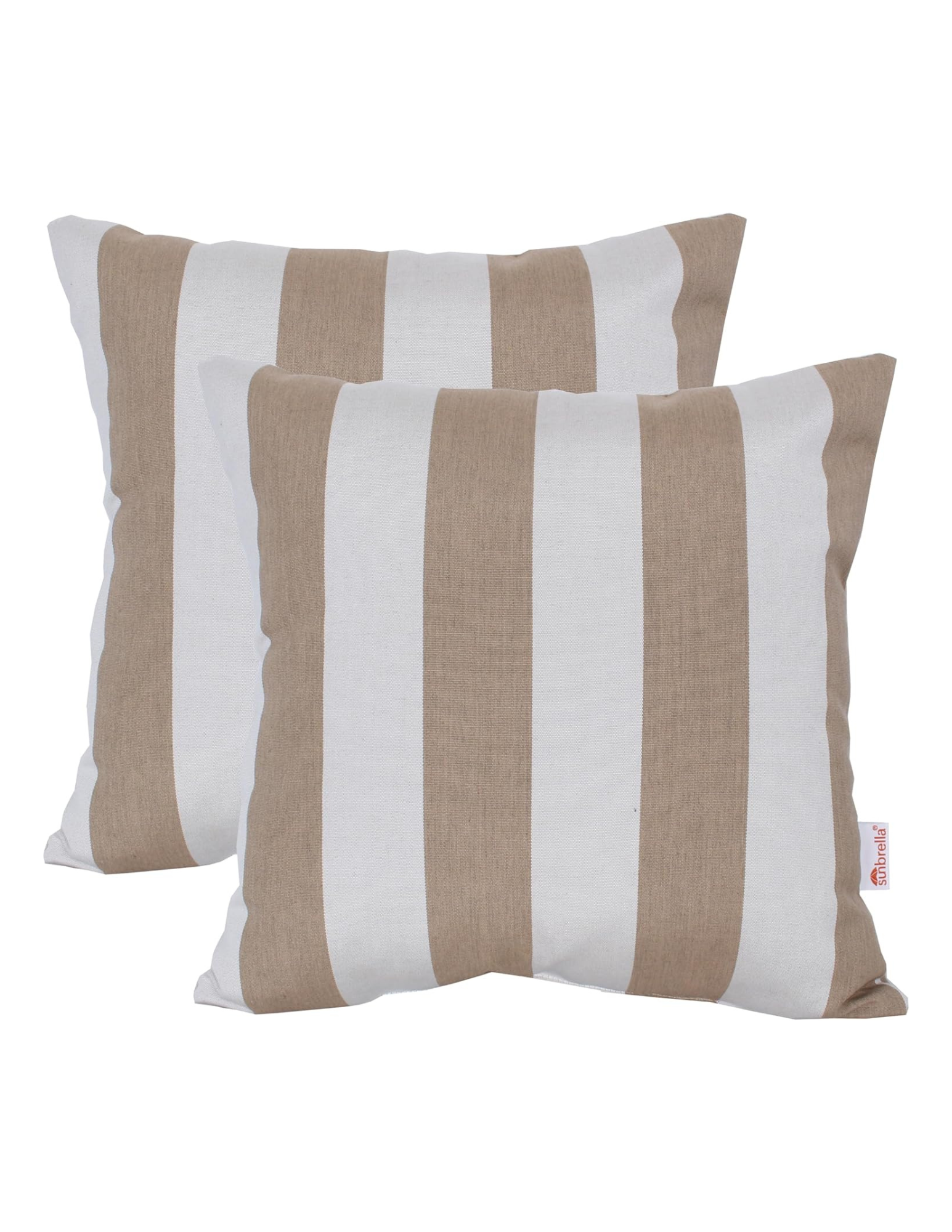 Shop Here