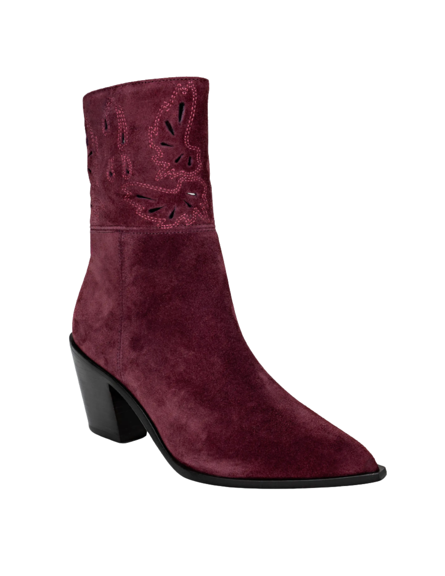    Shop Here   