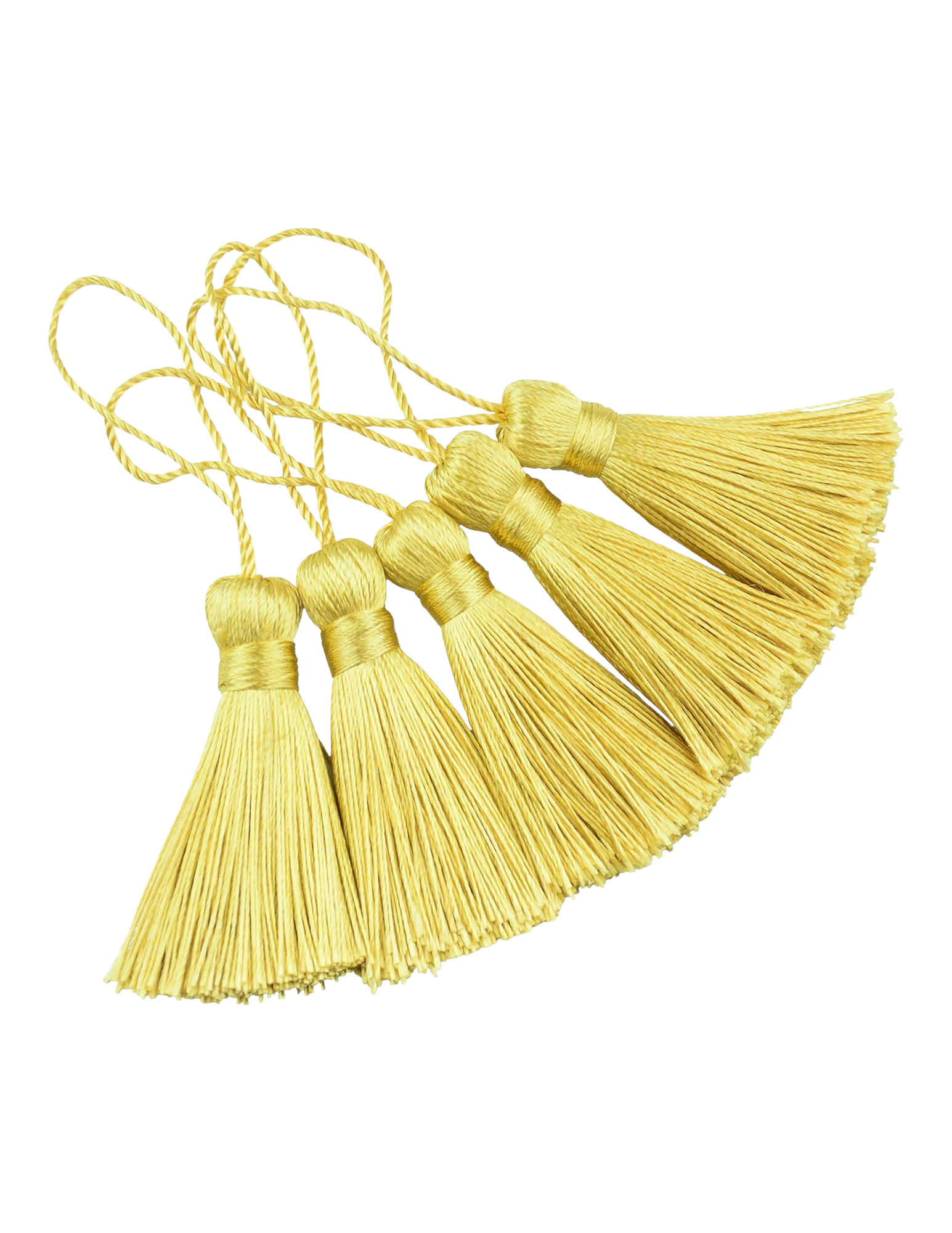    Shop Here   