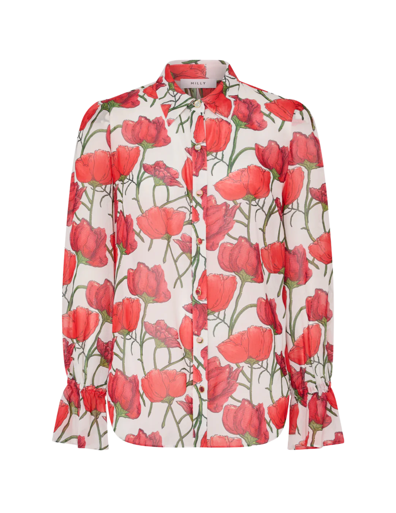    Shop Here   