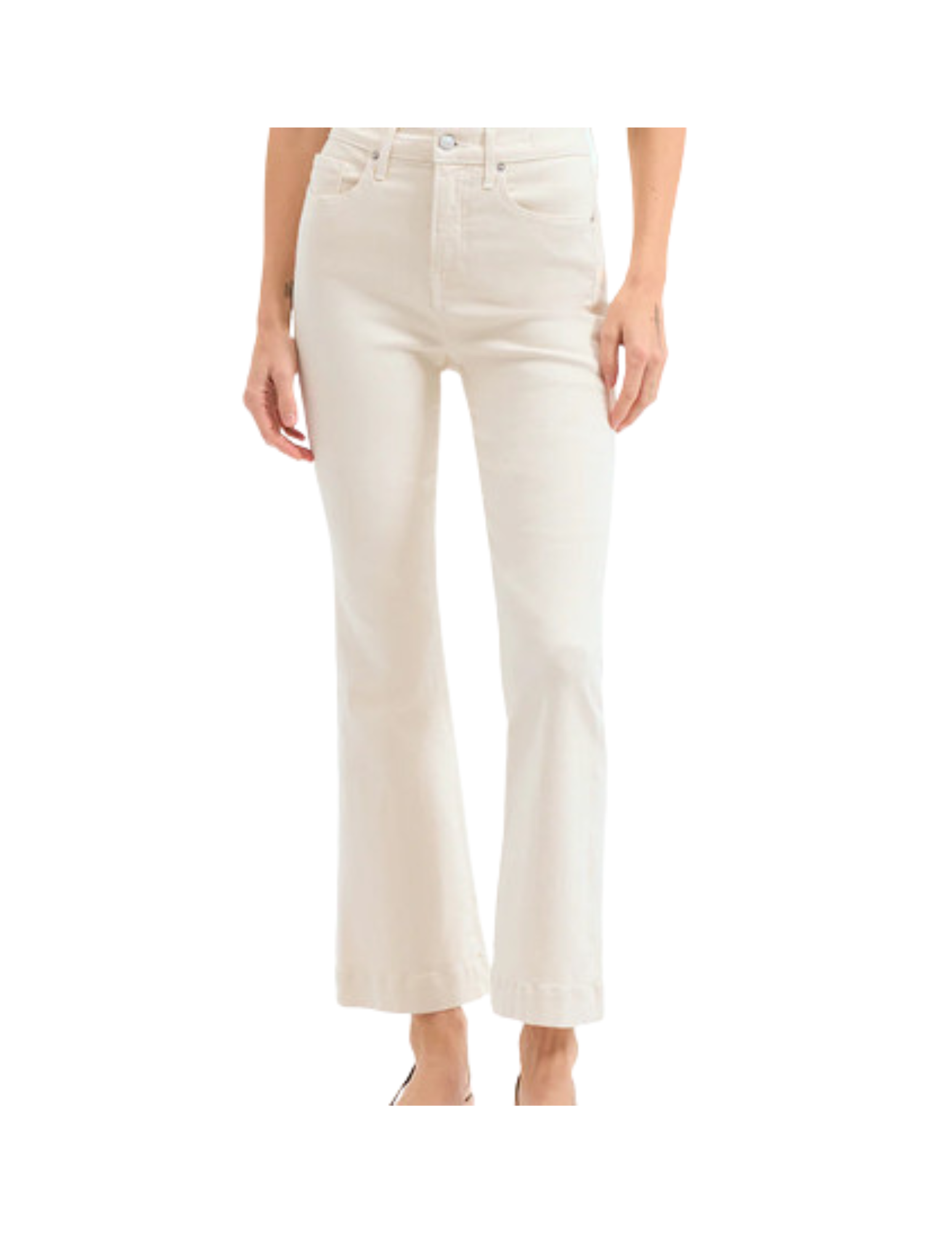    Shop Here   