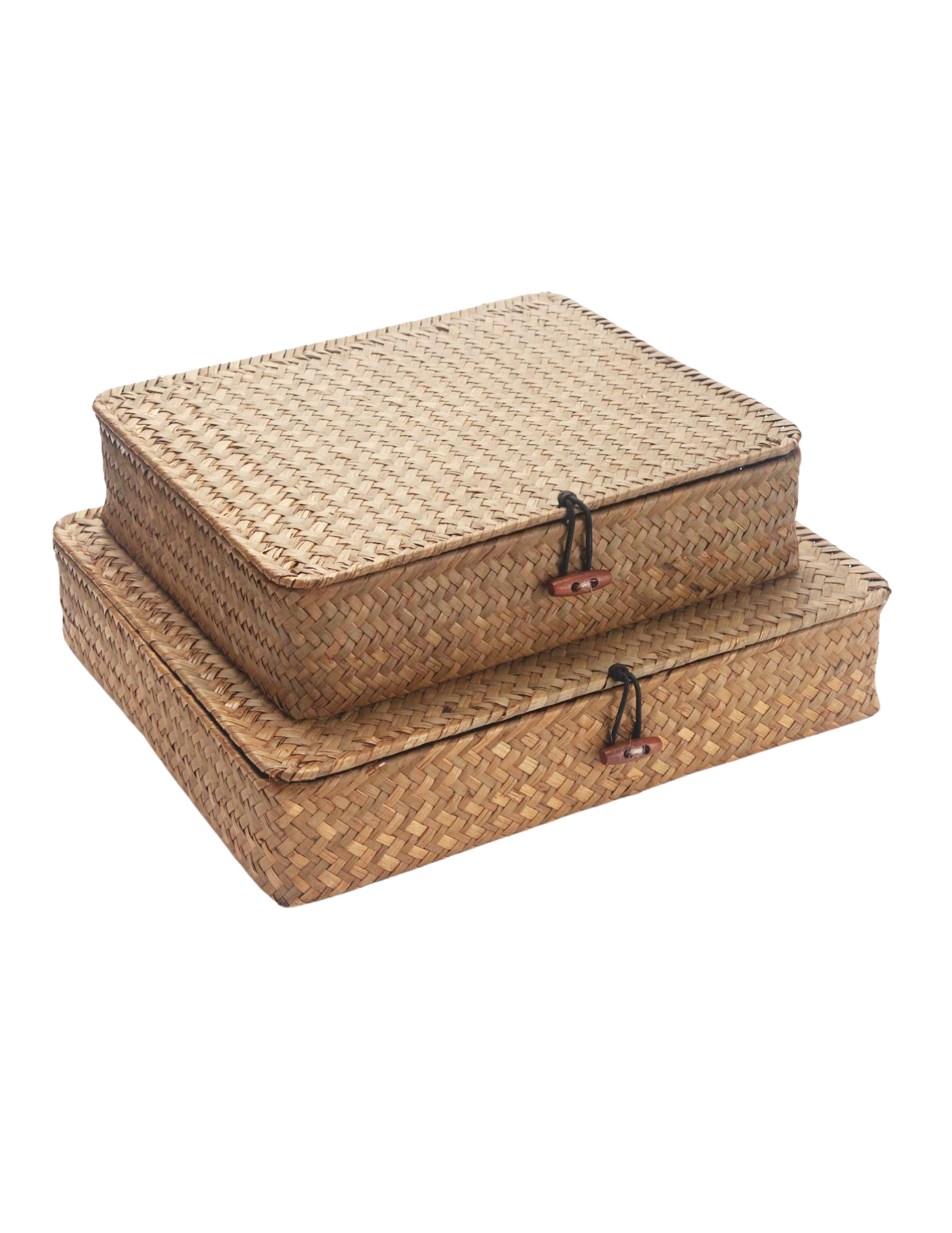    Shop Here   
