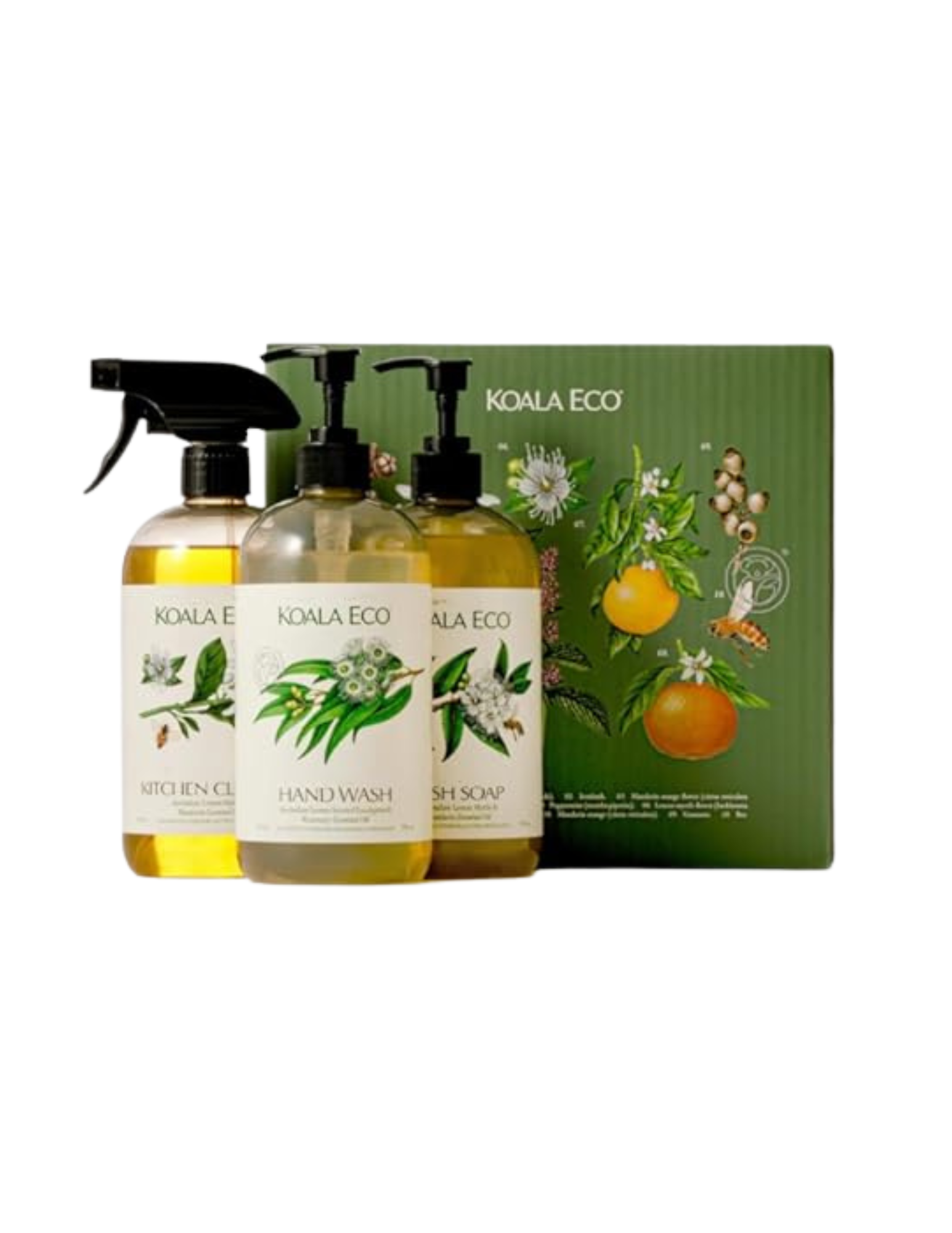    Shop Here   