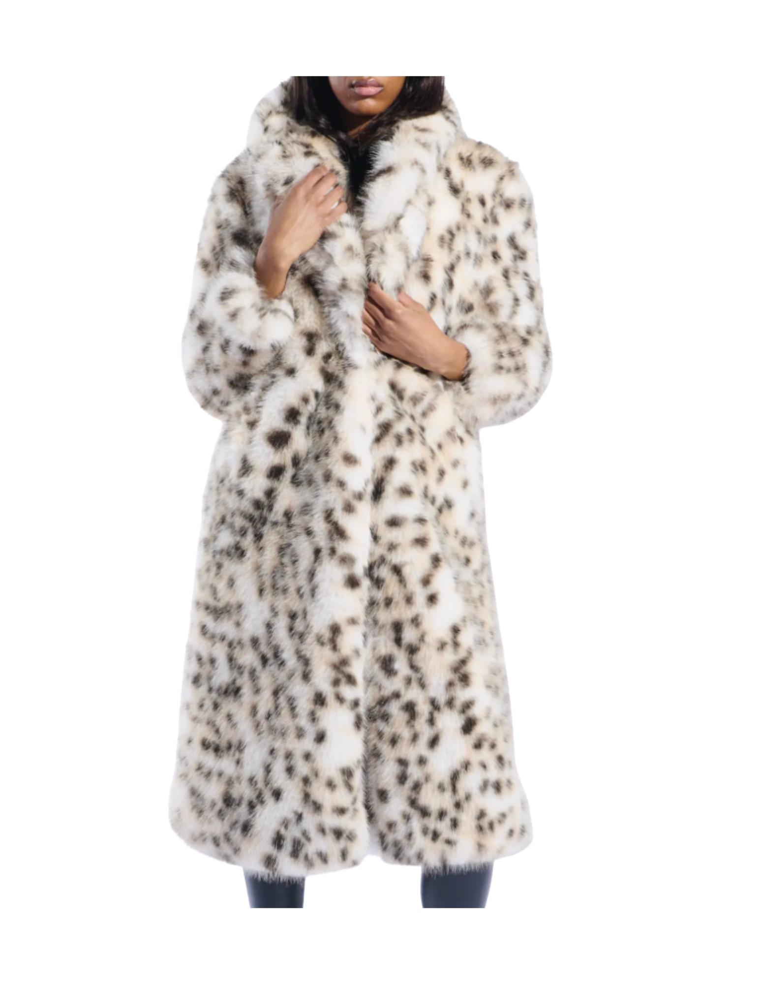 Shop Here