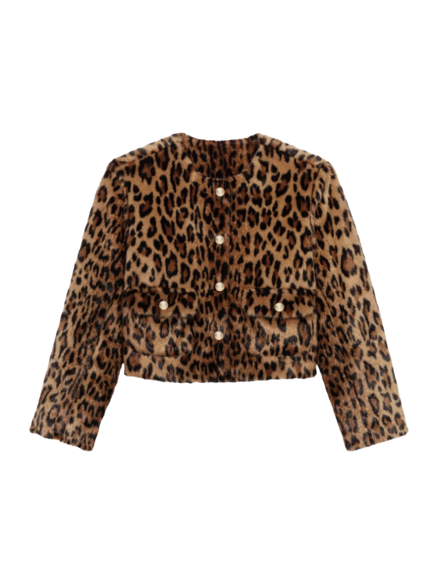 Shop Here