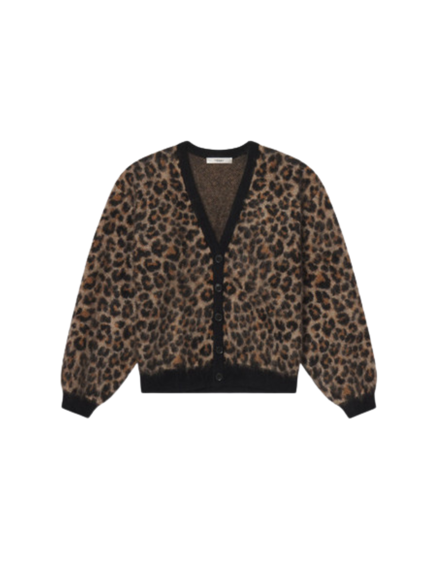 Shop Here