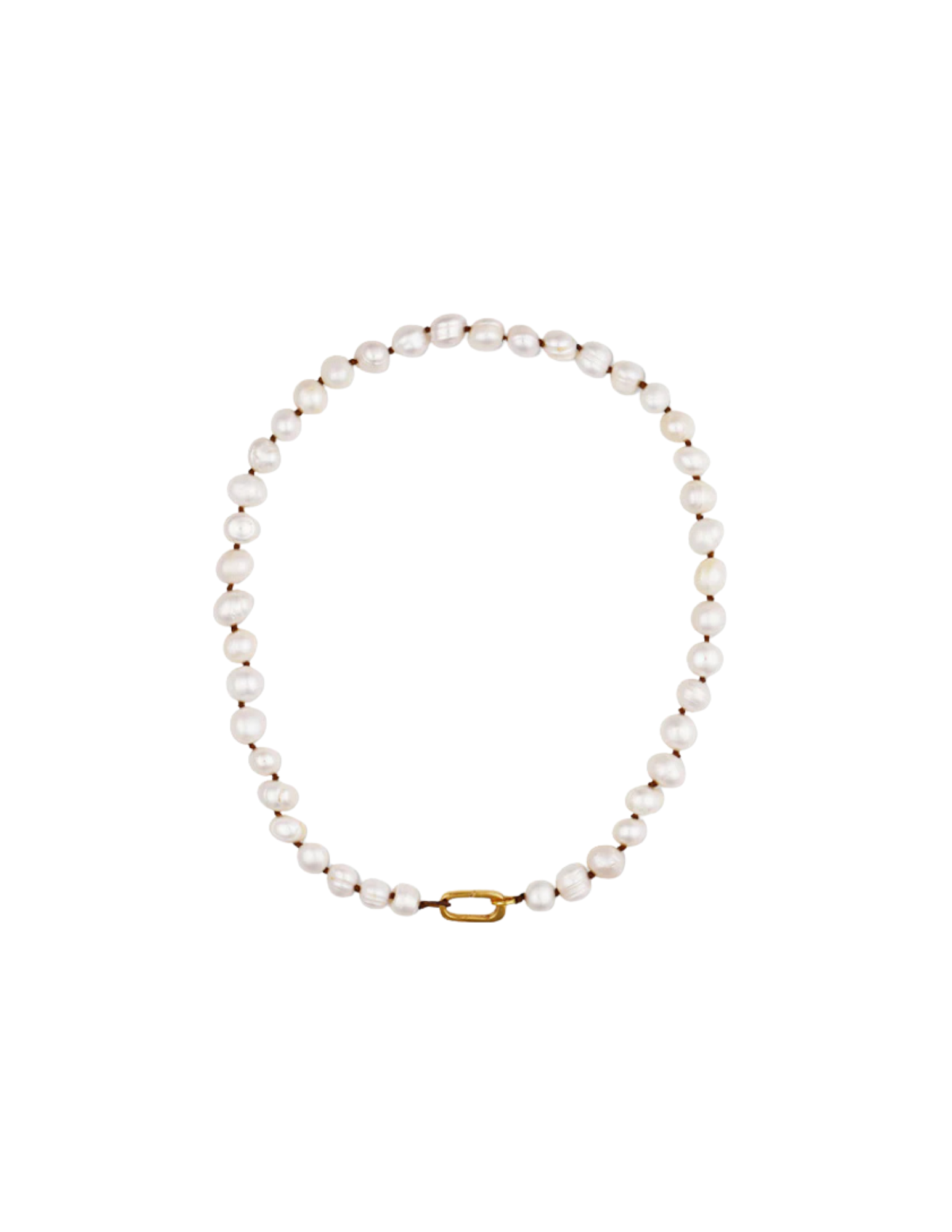 Shop Here