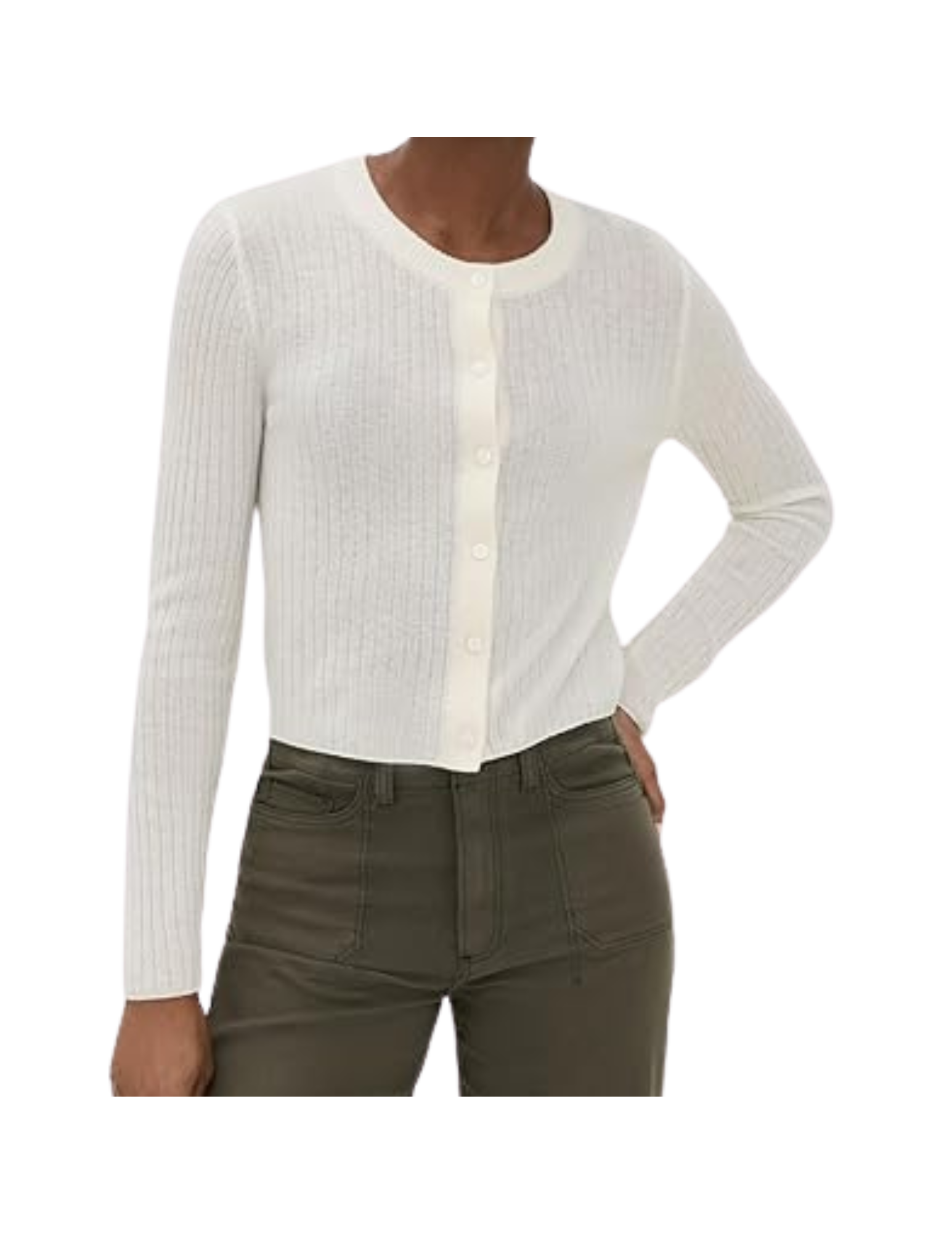   Shop Here   