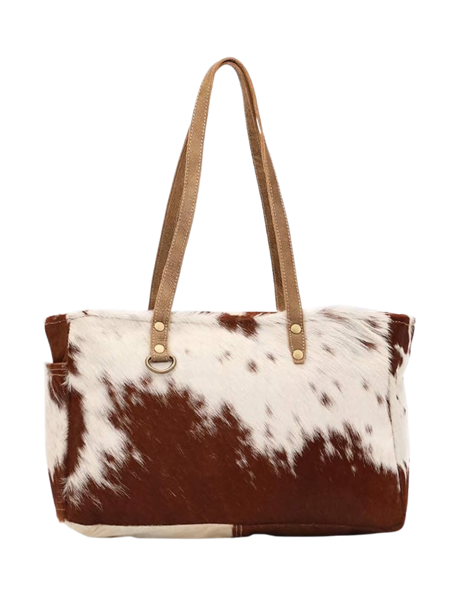    Shop Here   