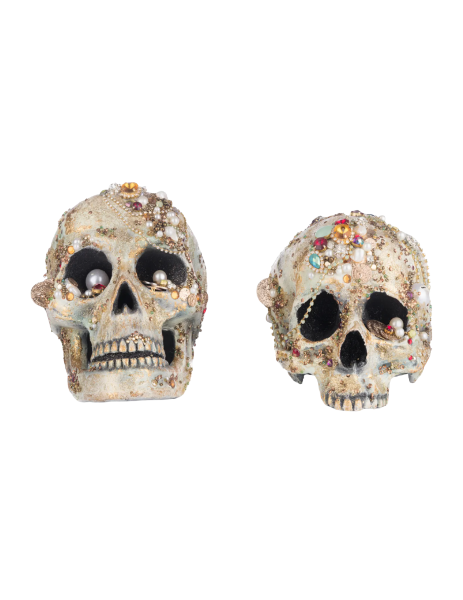 Shop Here