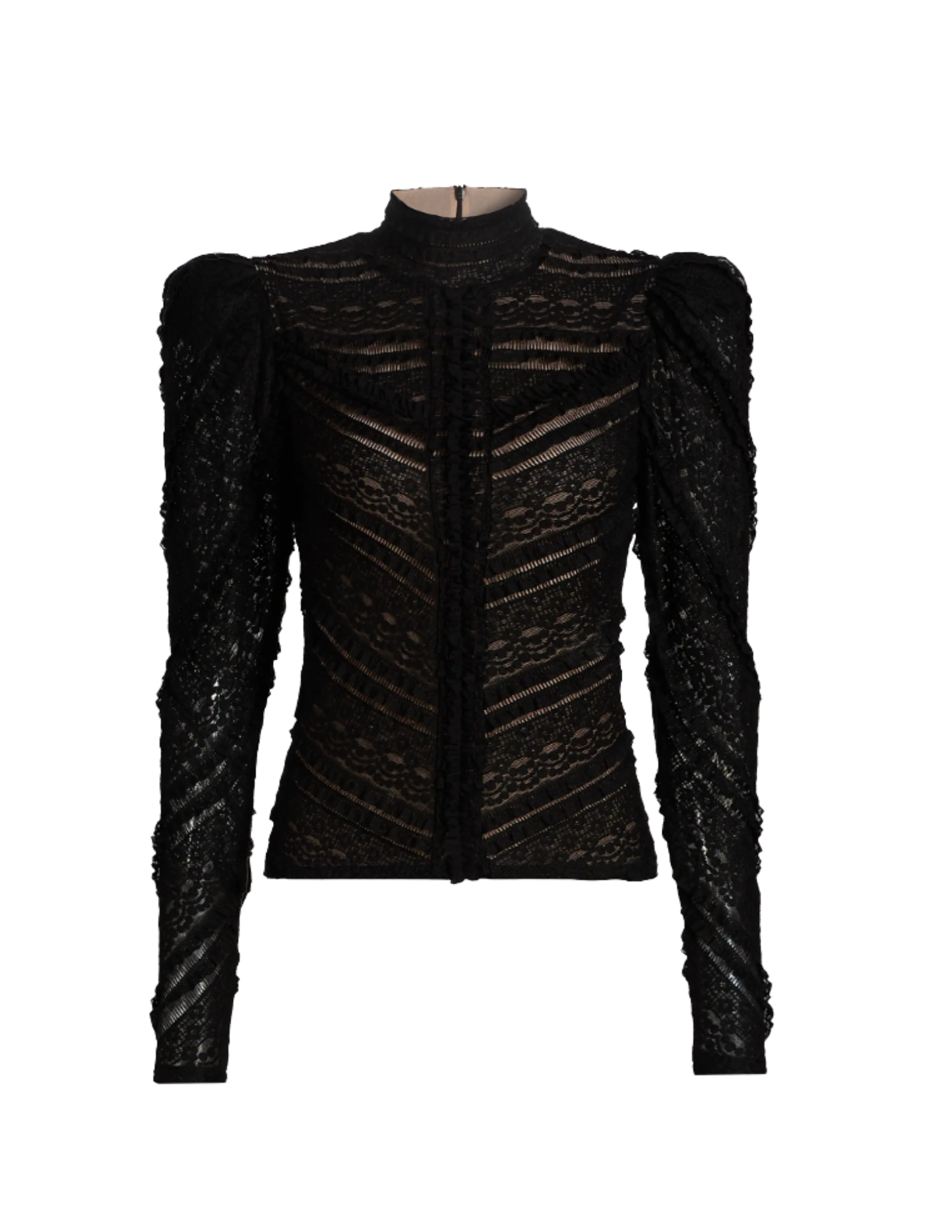    Shop Here   