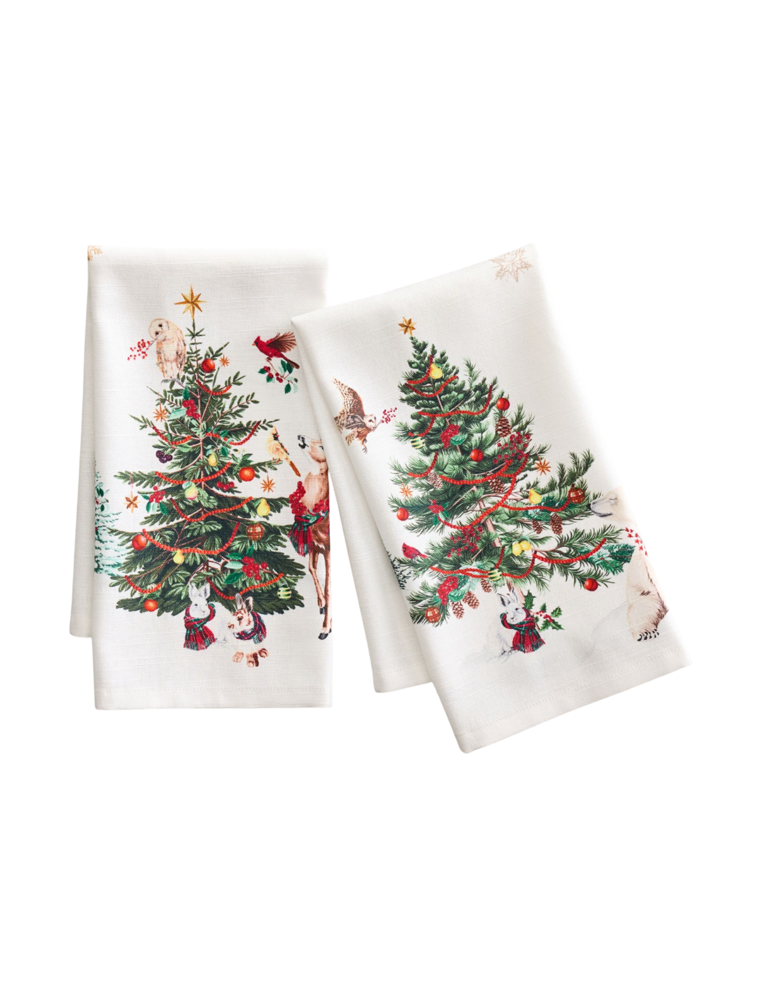 Shop Here