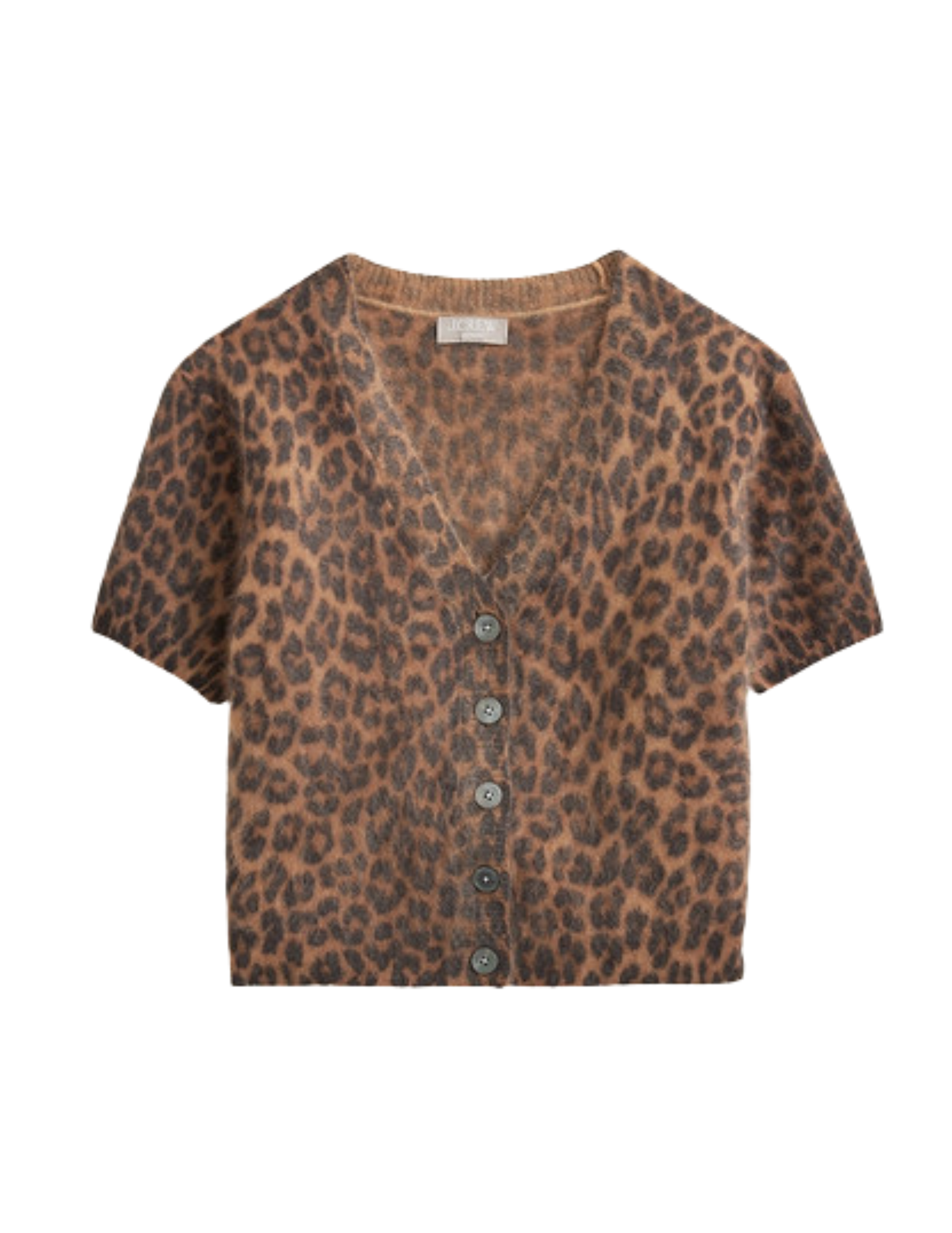 Shop Here