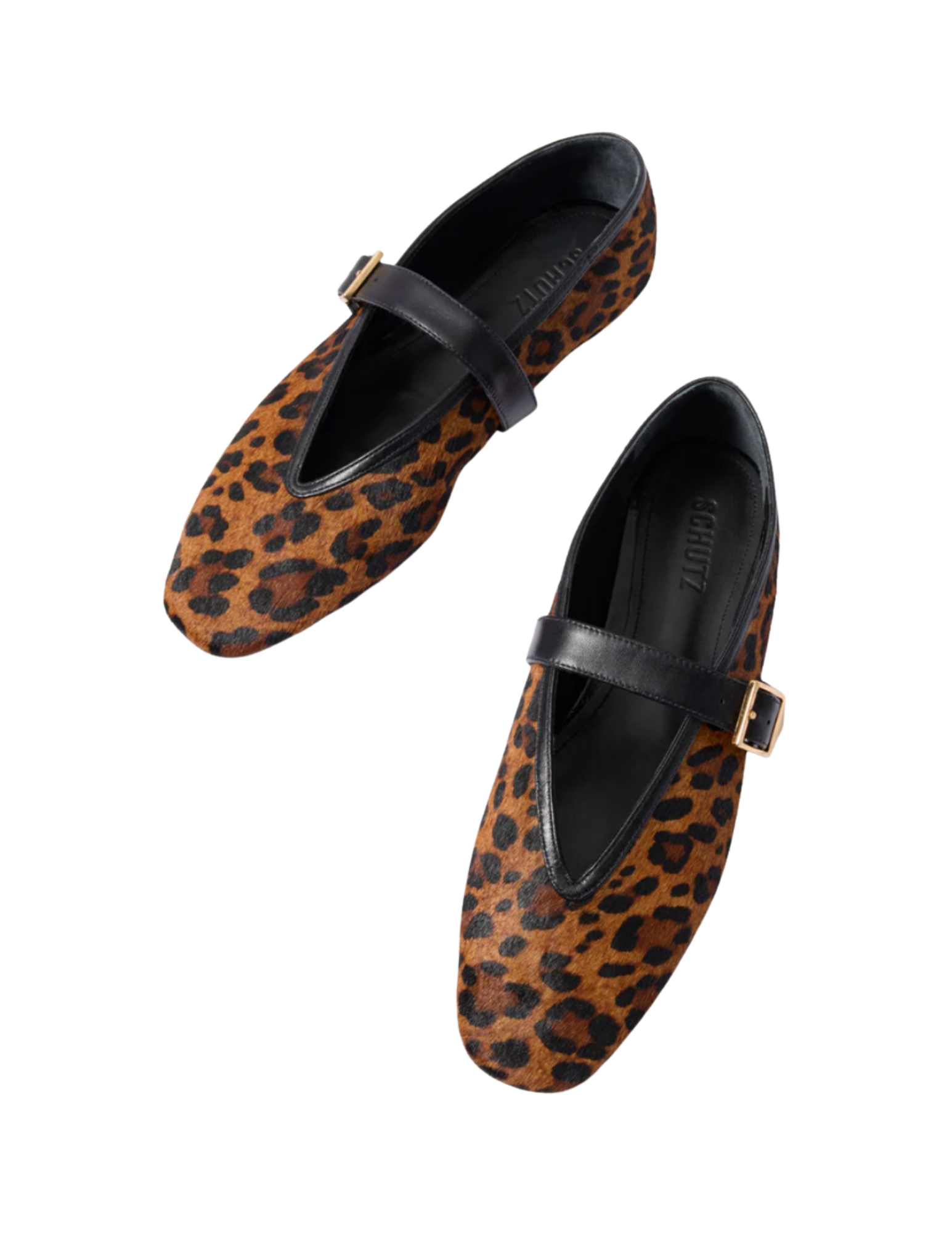 Shop Here