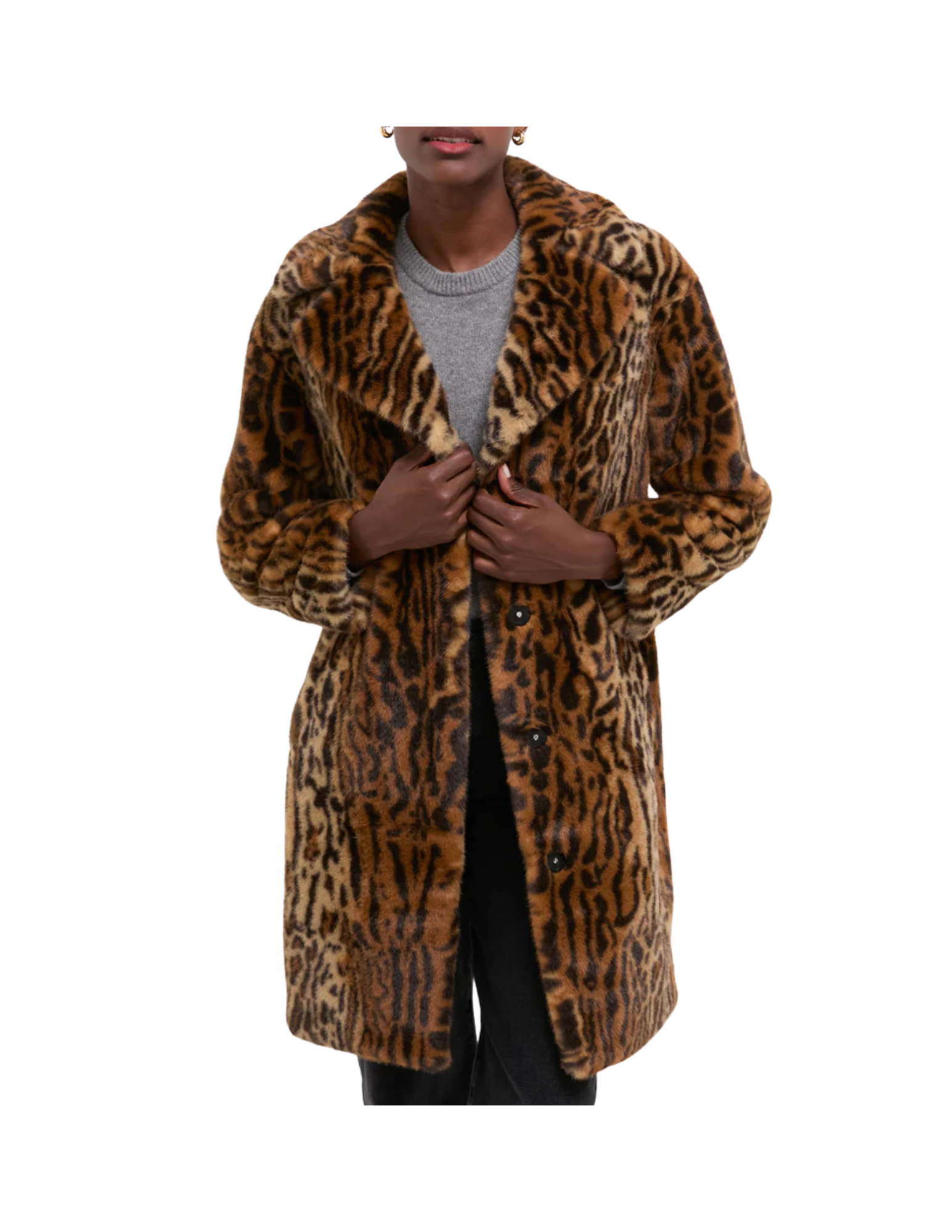 Shop Here