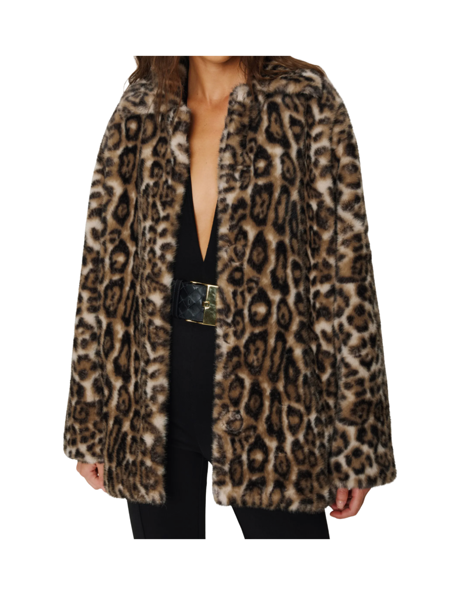 Shop Here