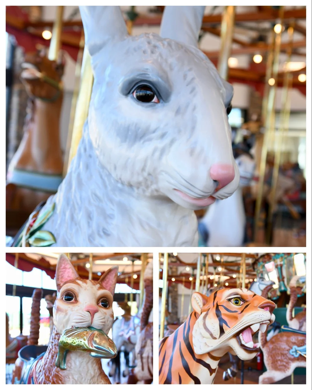 The History of Dentzel Carousels and the Burlington Carousel Festival