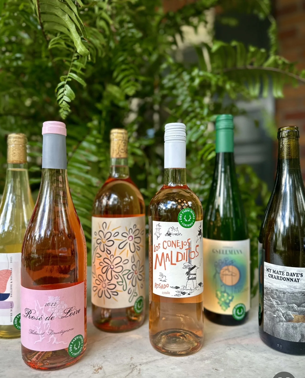 All About the Best Natural Wines Dry Farm Wines — Crazy Blonde Life