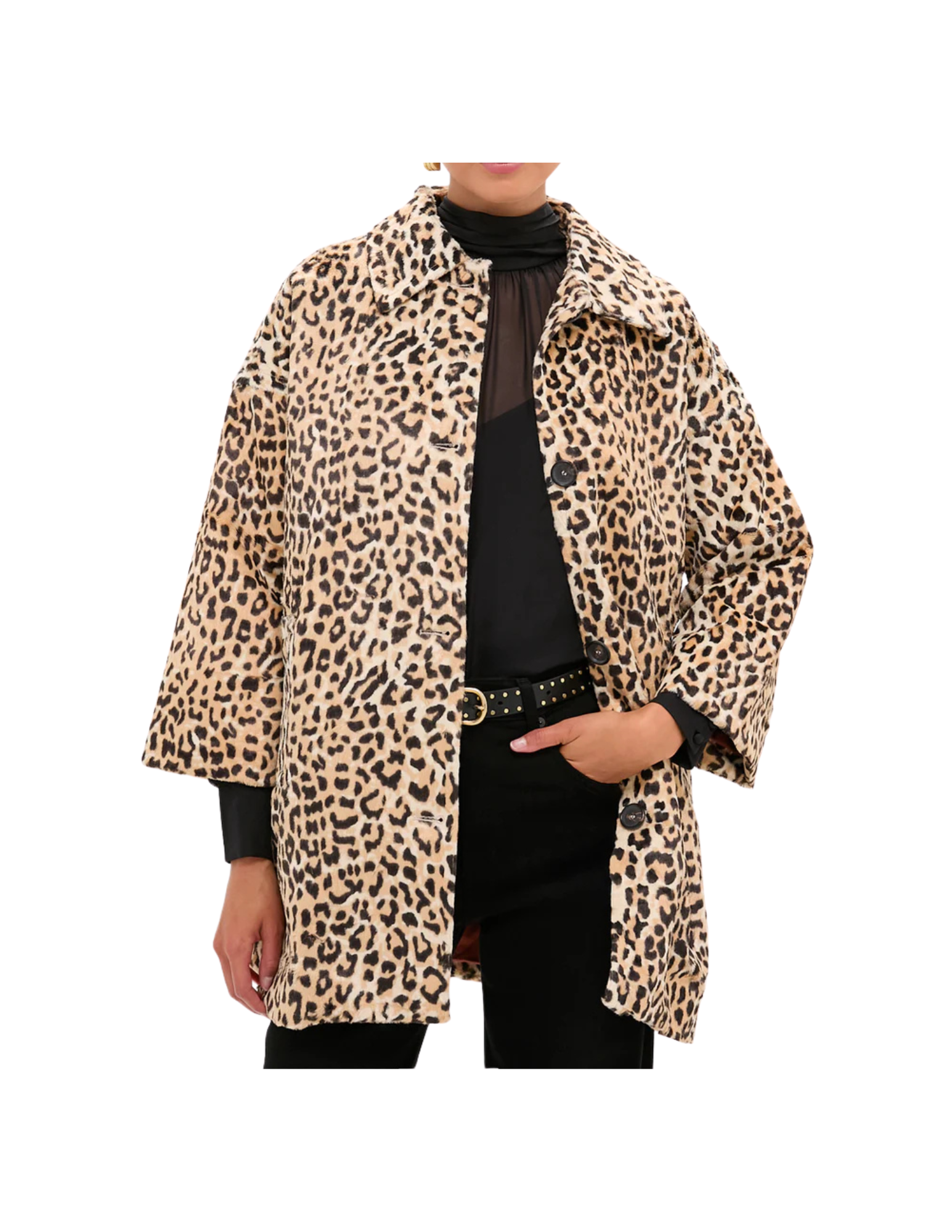 Shop Here