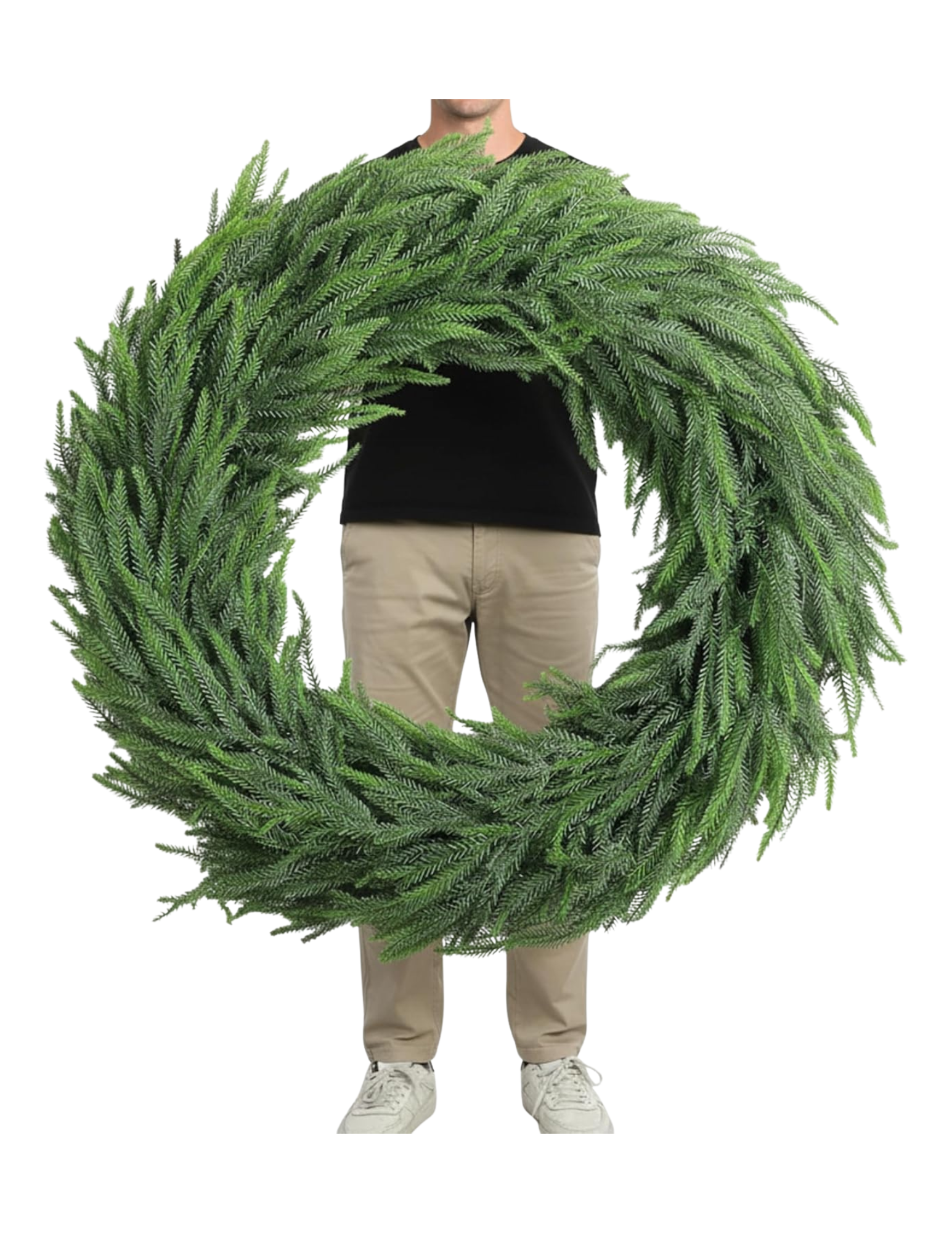 Shop Here