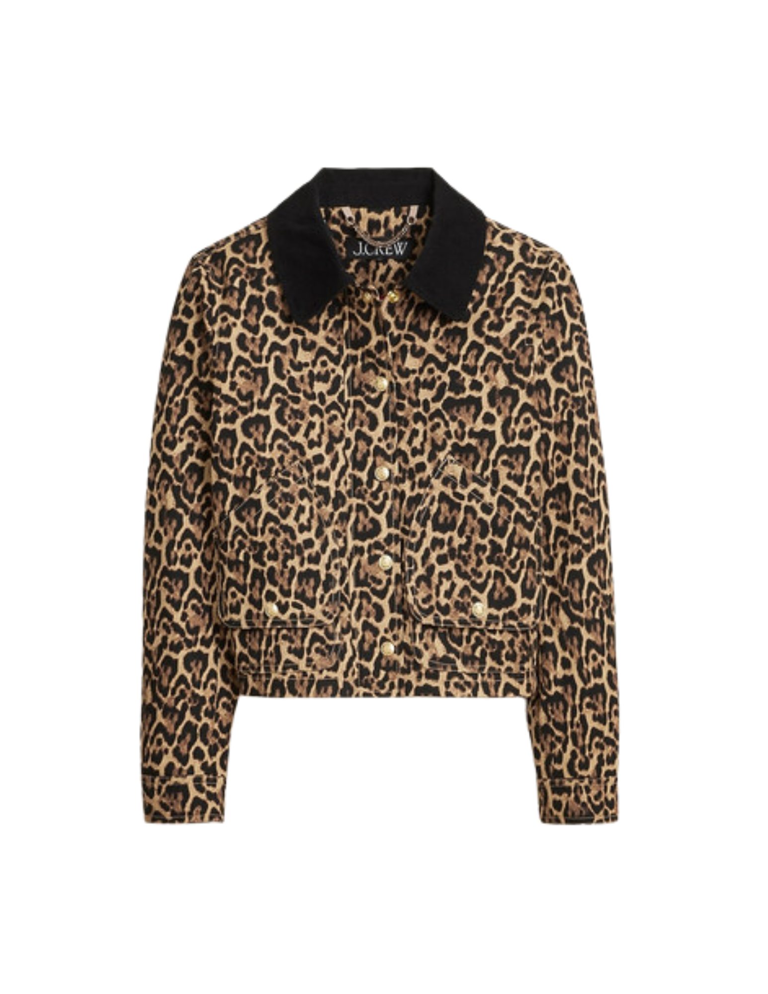 Shop Here