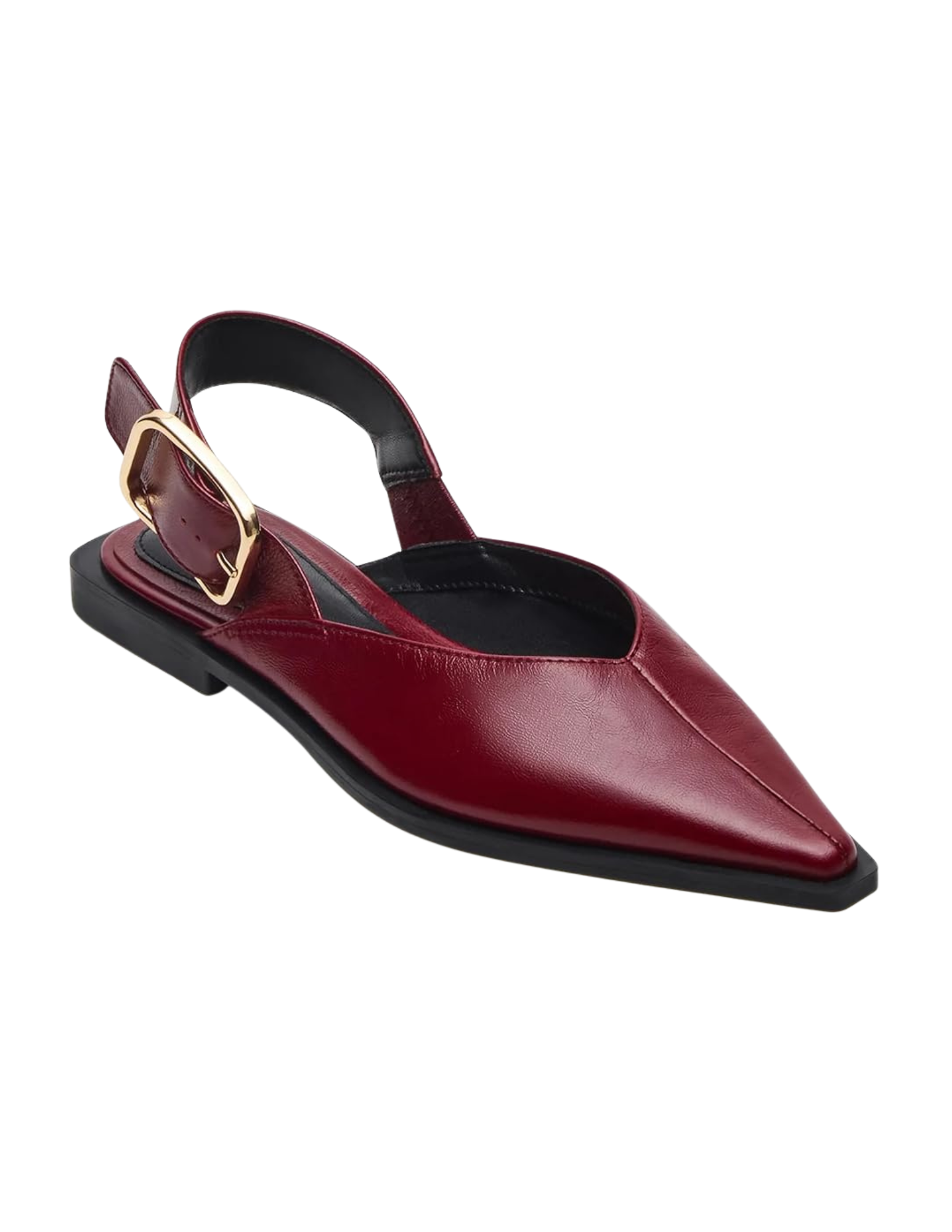 Shop Here