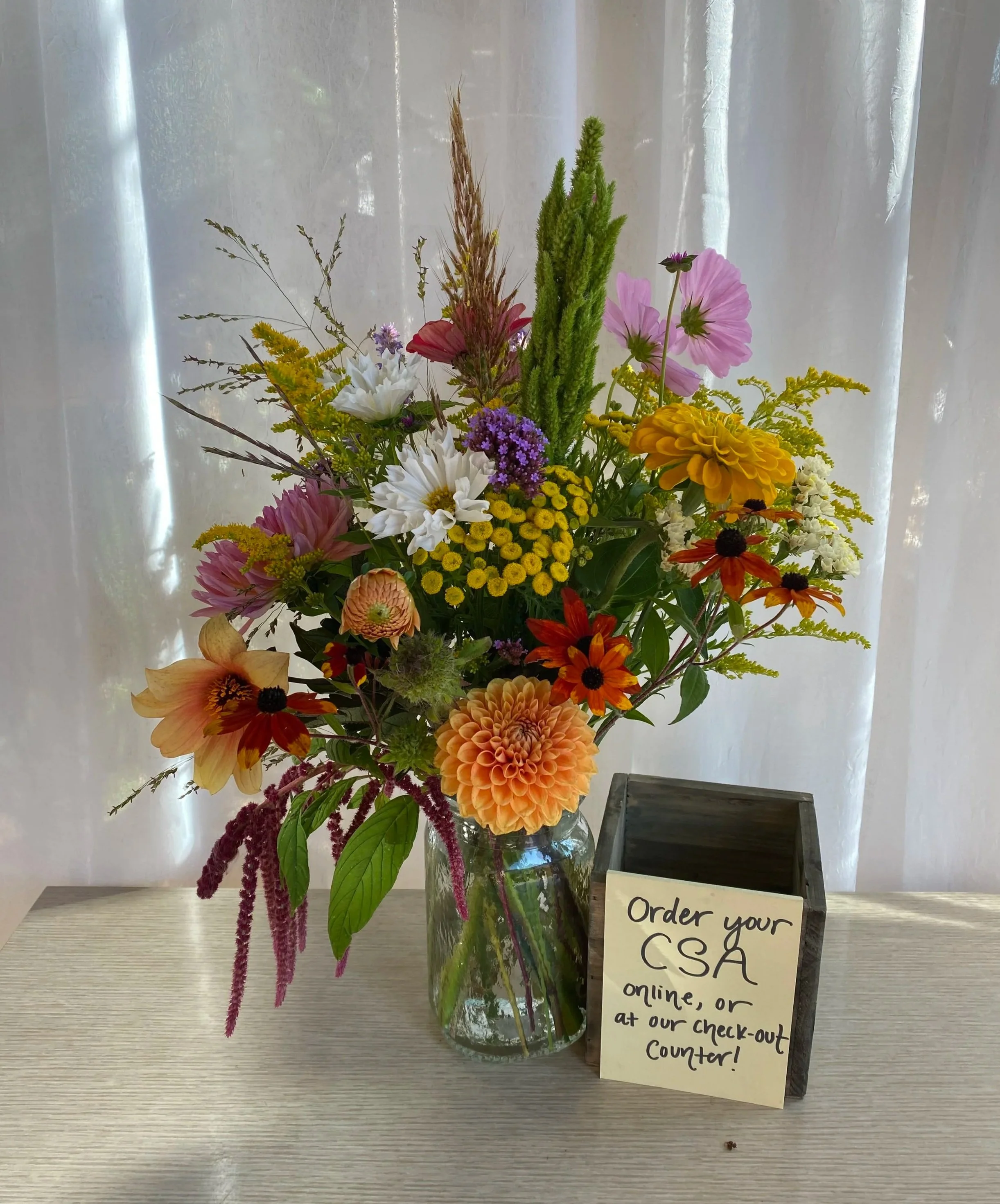 Gift a Farm-Fresh Flower Subscription! (Our CSA)