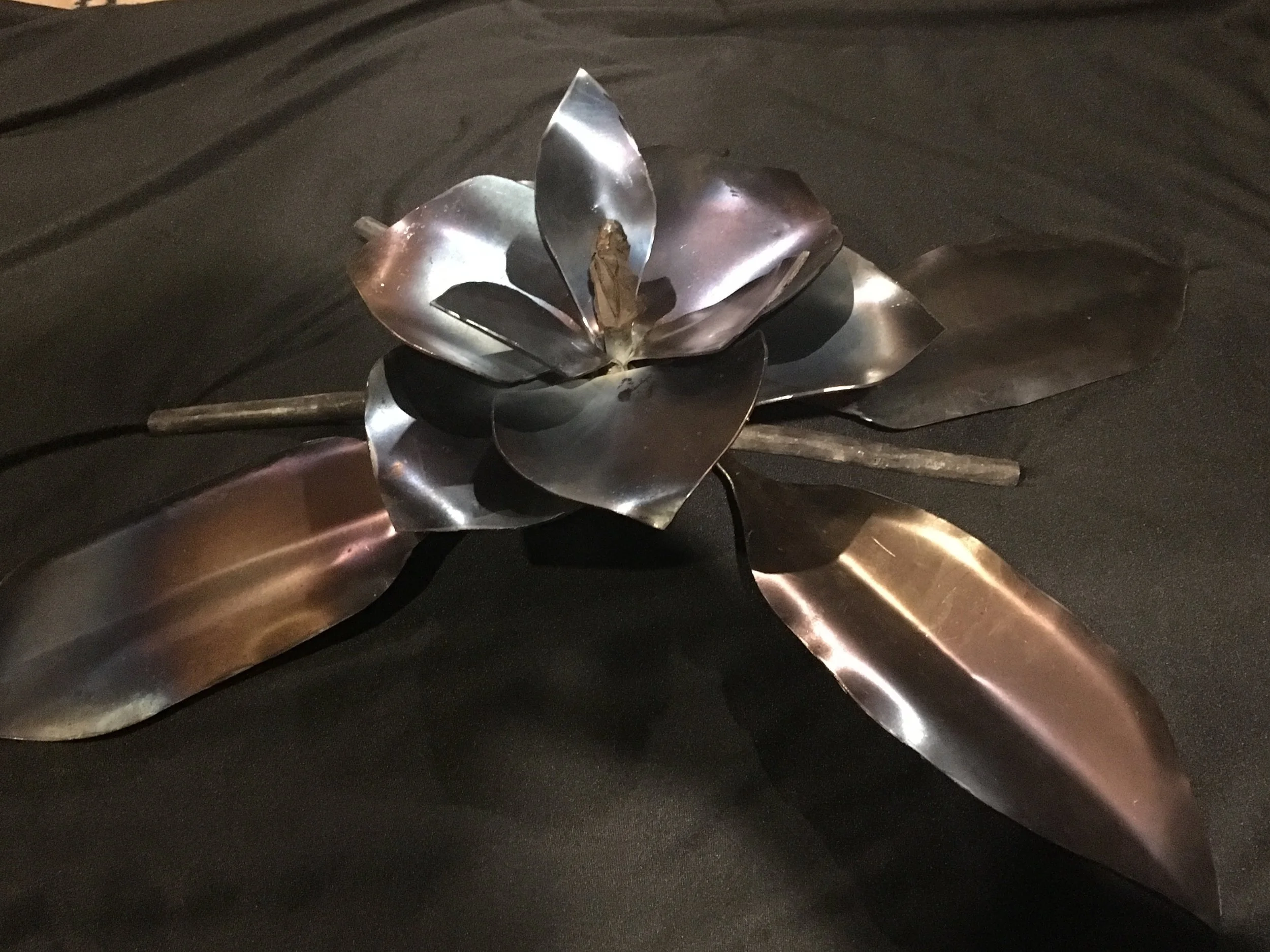 magnolia 2