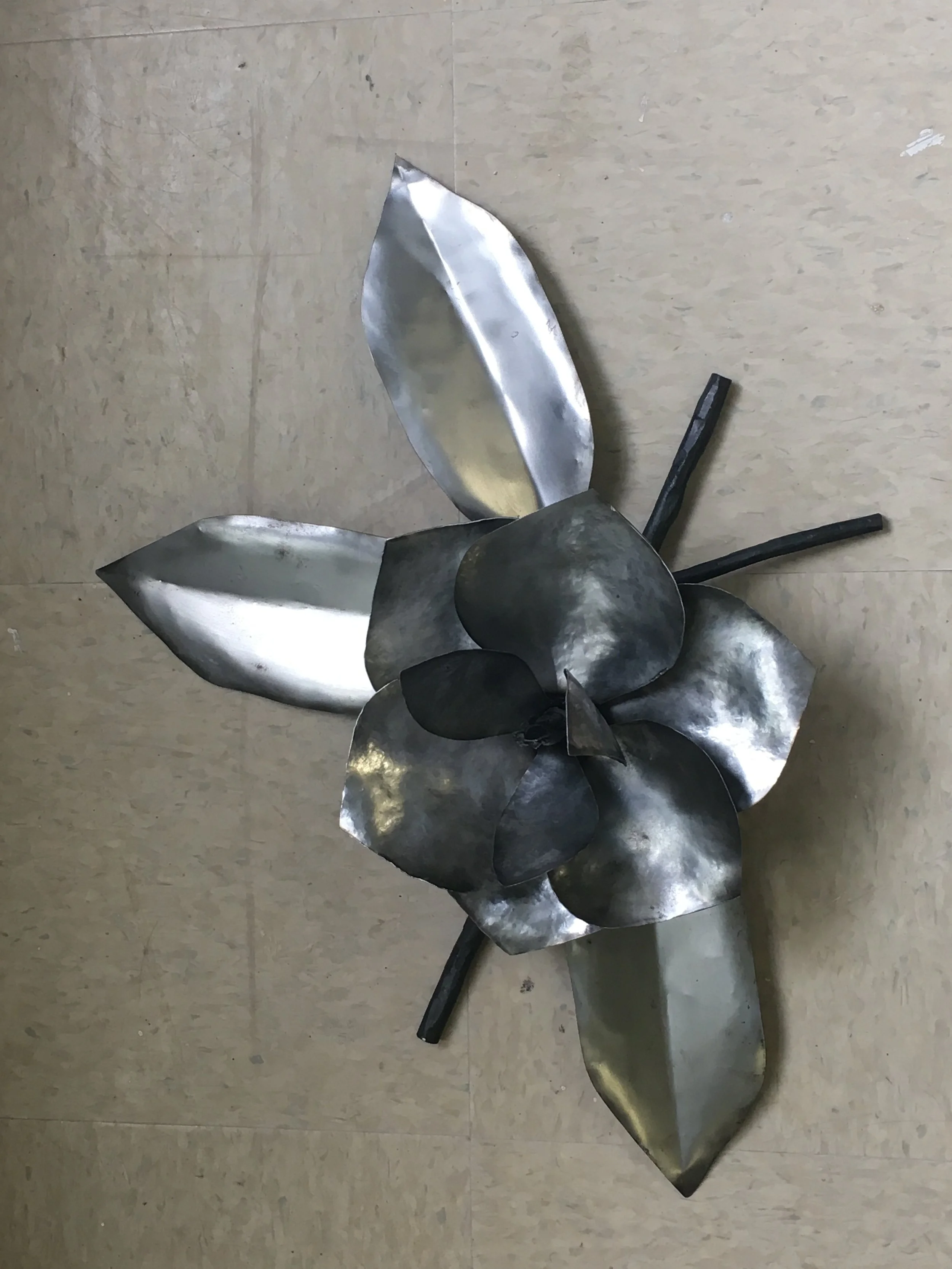 magnolia