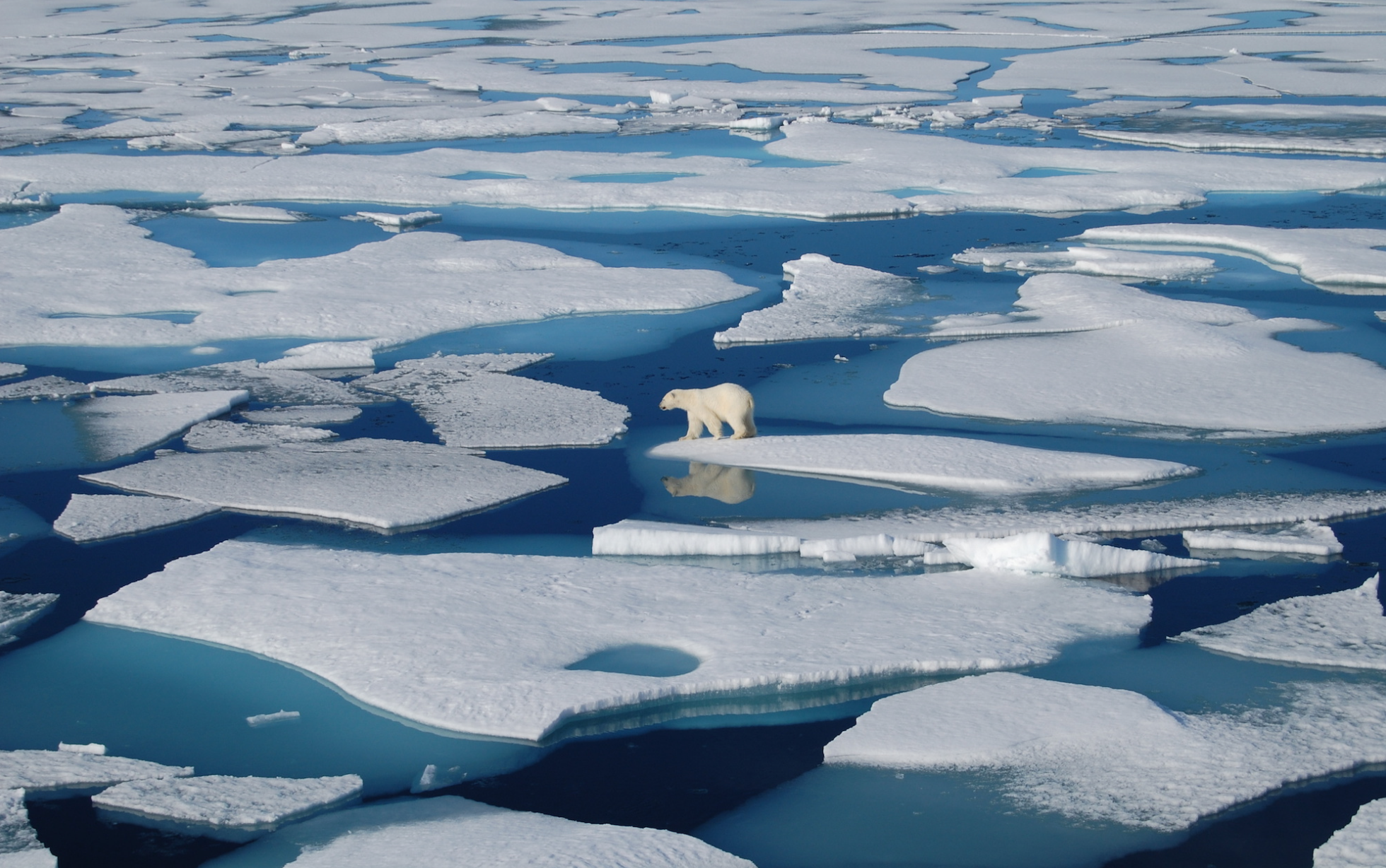 Greenpeace