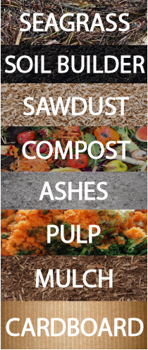 soil.png