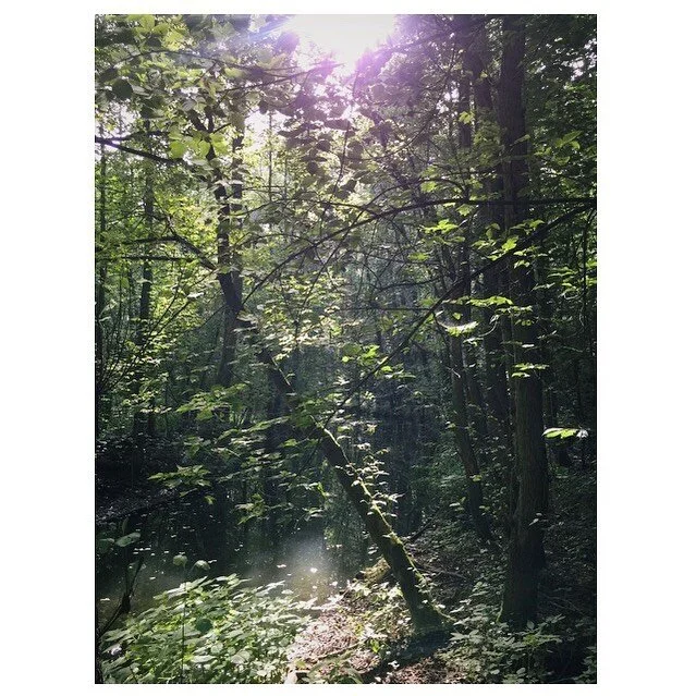 Back to nature.
#landscapes #backtonature #weareone #berlin