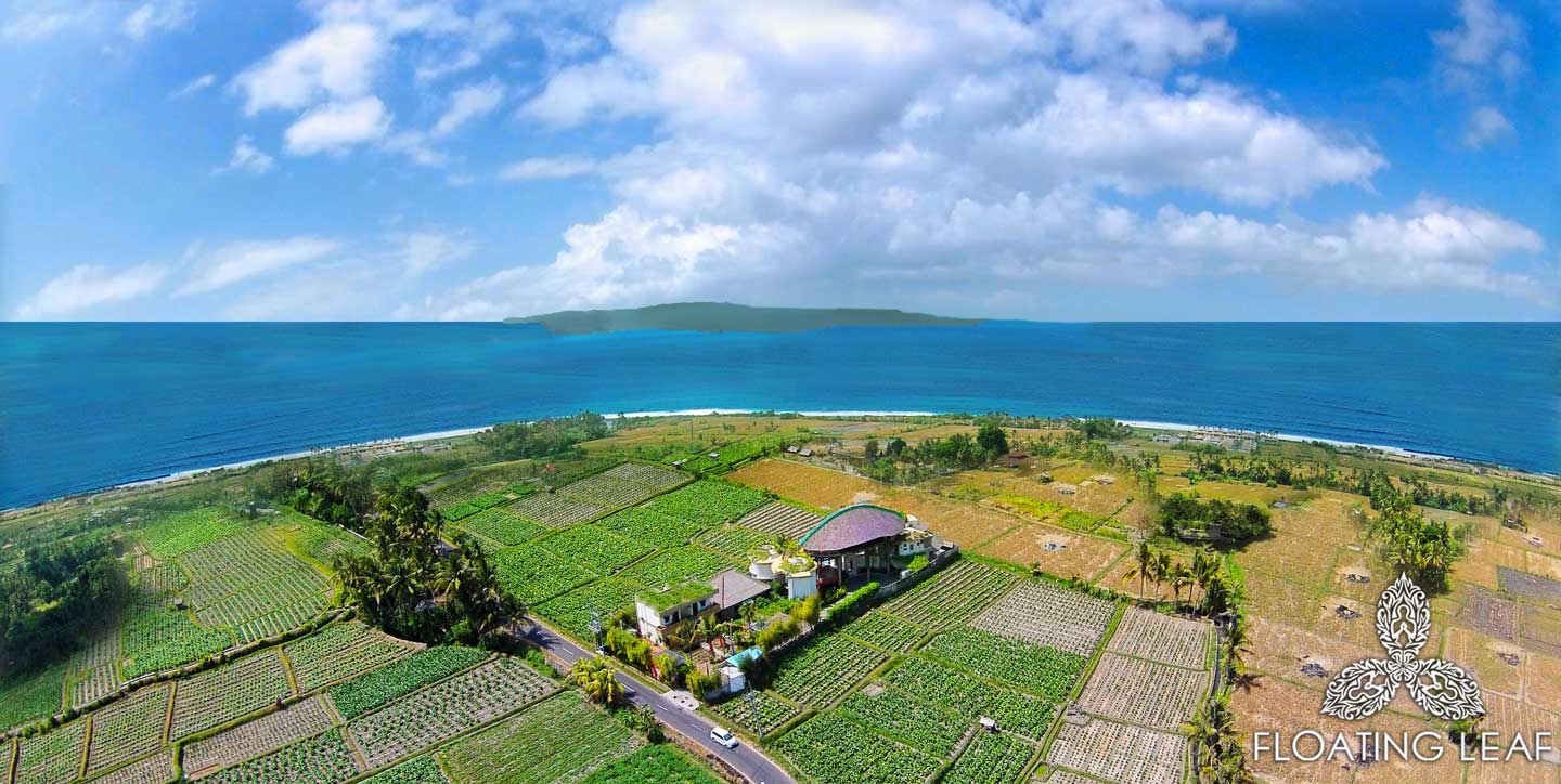 yoga-retreat-bali-drone.jpg