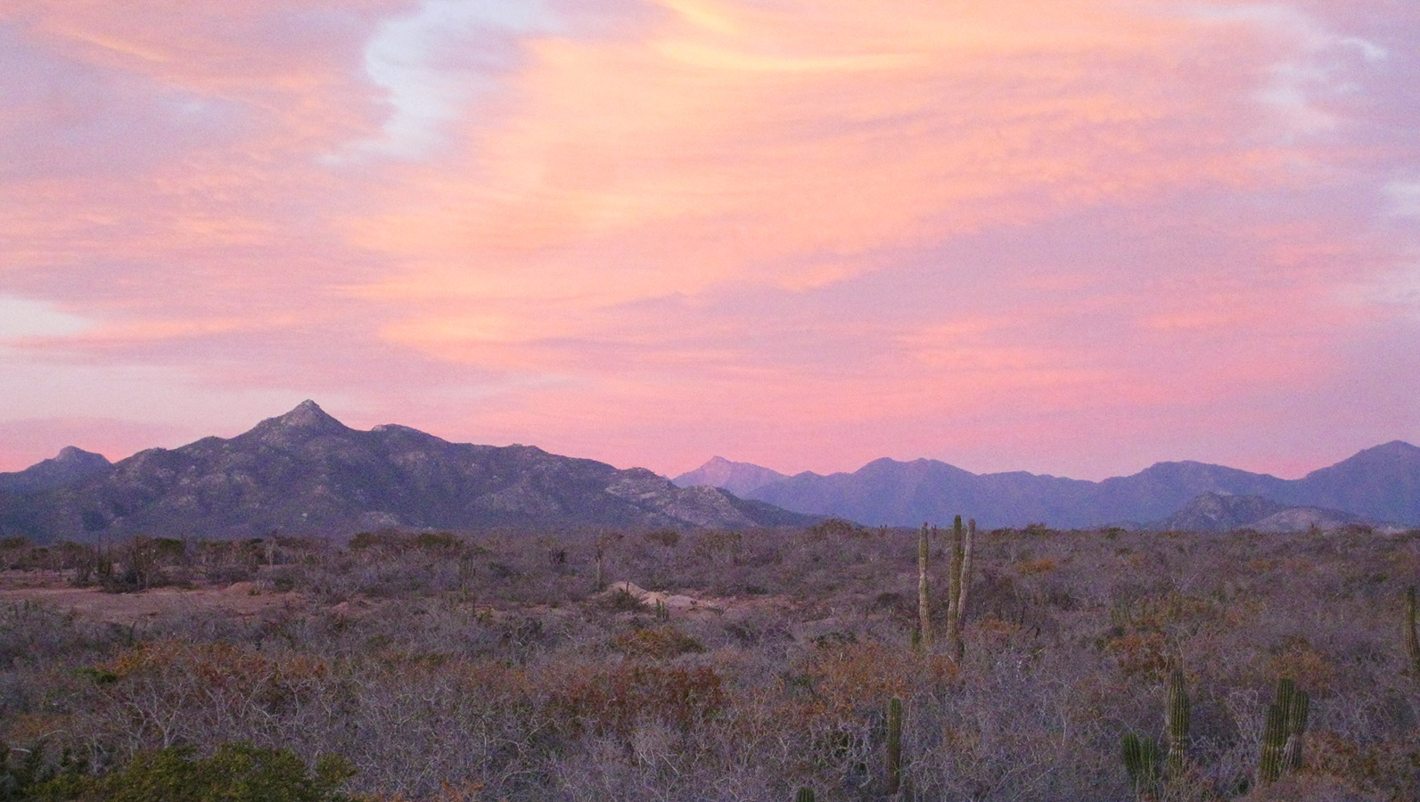 gallery_sunset_mountains.jpg