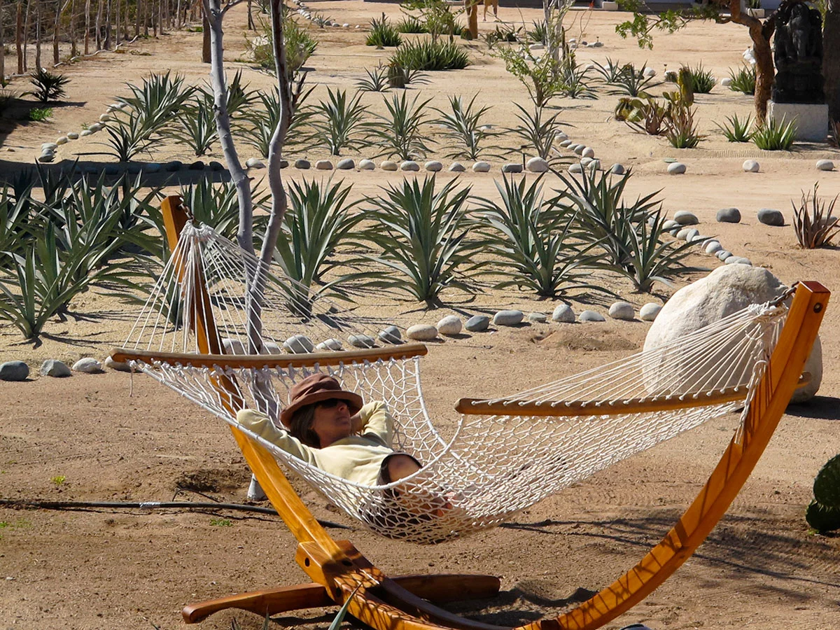 gallery_hammock_garden.jpg