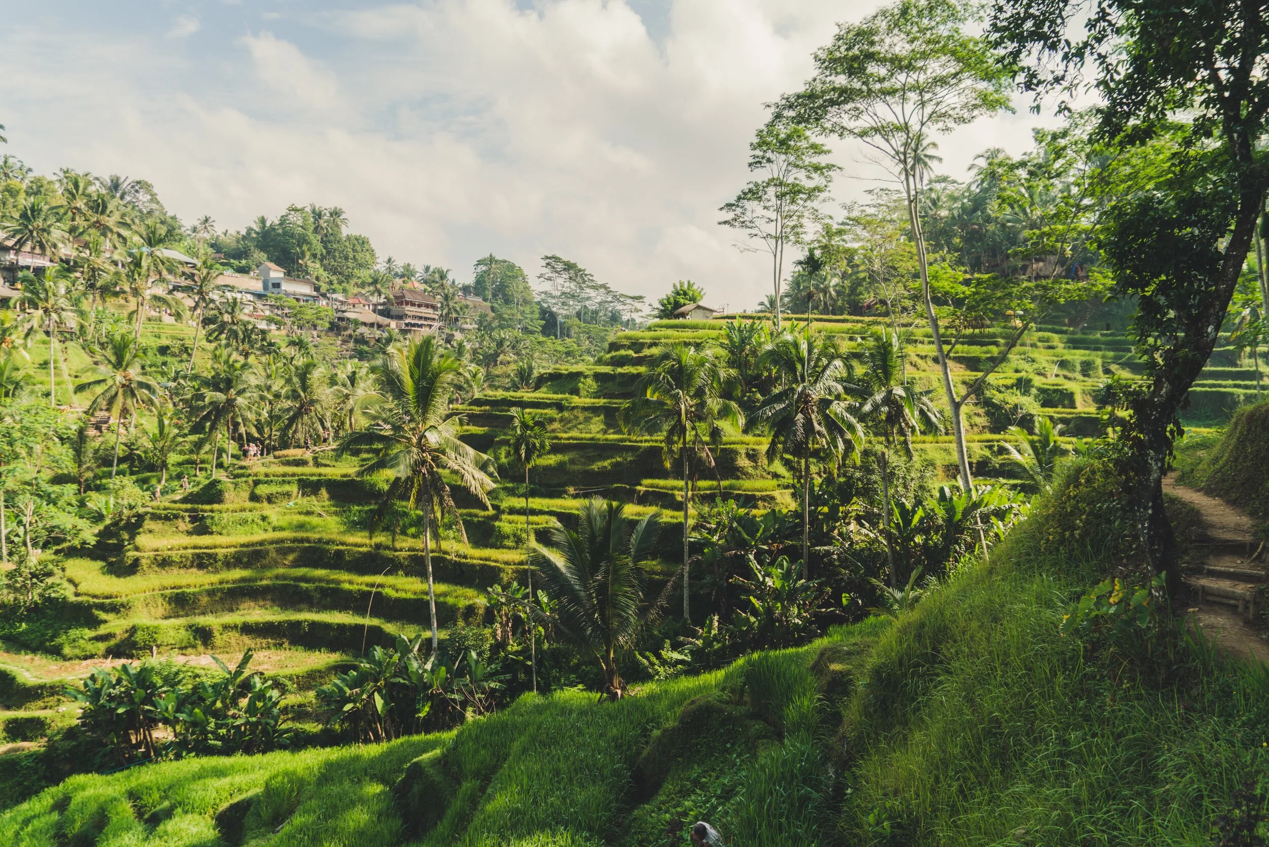 THE SACRED FEMININE RETREAT in Bali