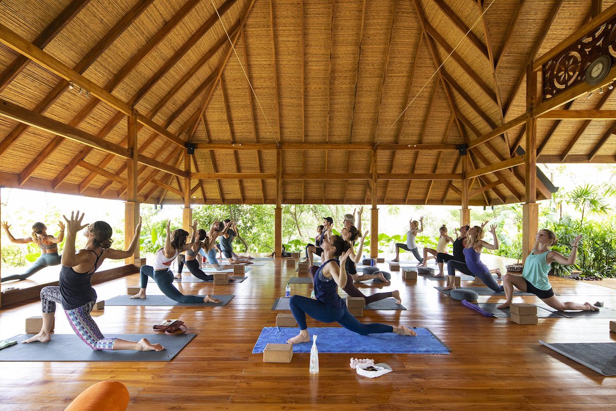 Yoga Bodhi Tree Costa Rica.jpg