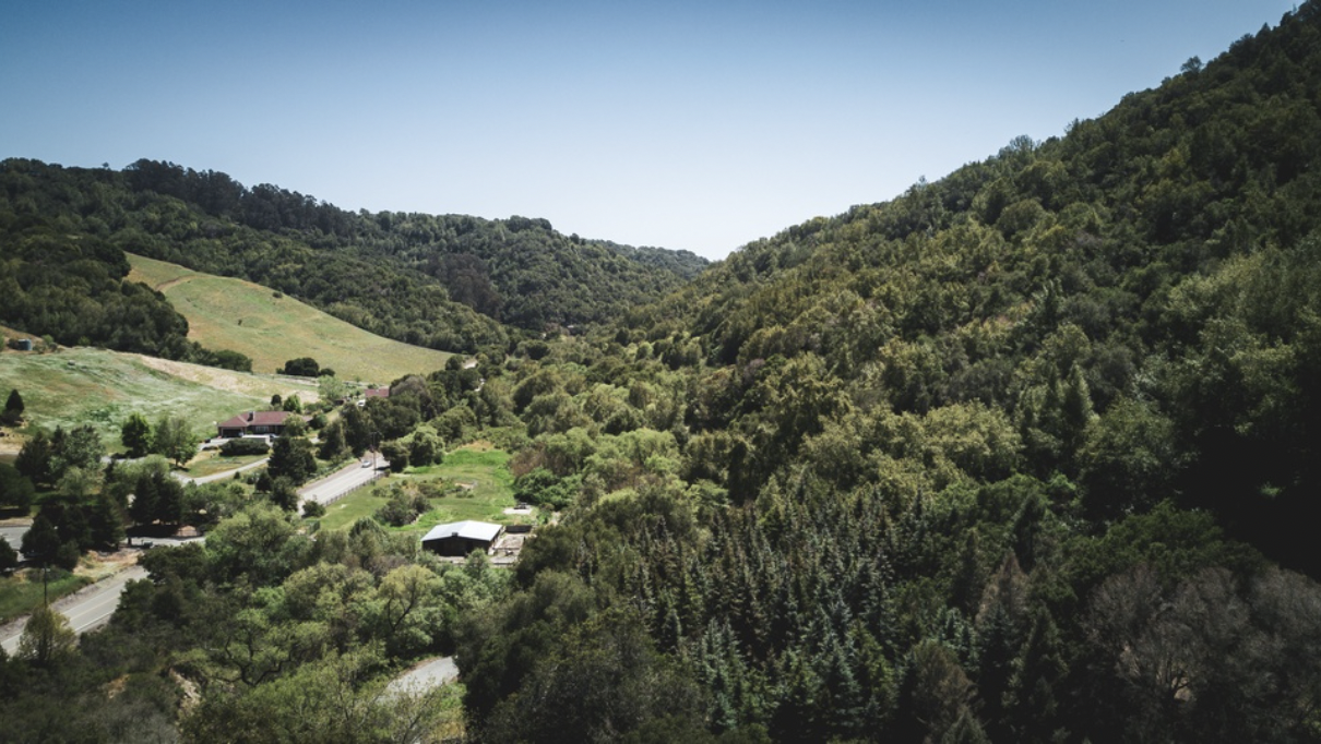 Retreat with Purpose: Reconnect, Reflect, Rejuvenate
