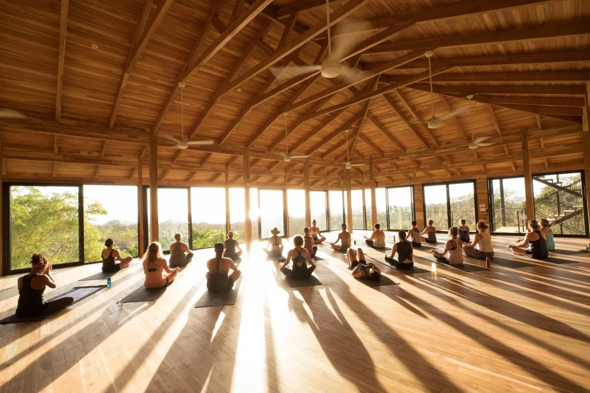 bodhi meditation.jpg