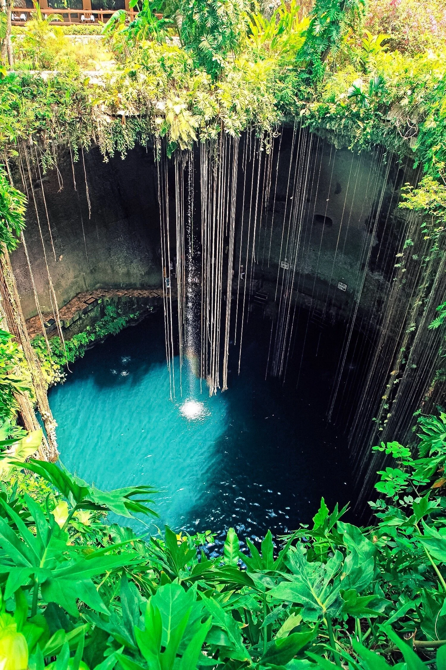 Cenote 2 Tulum .jpeg