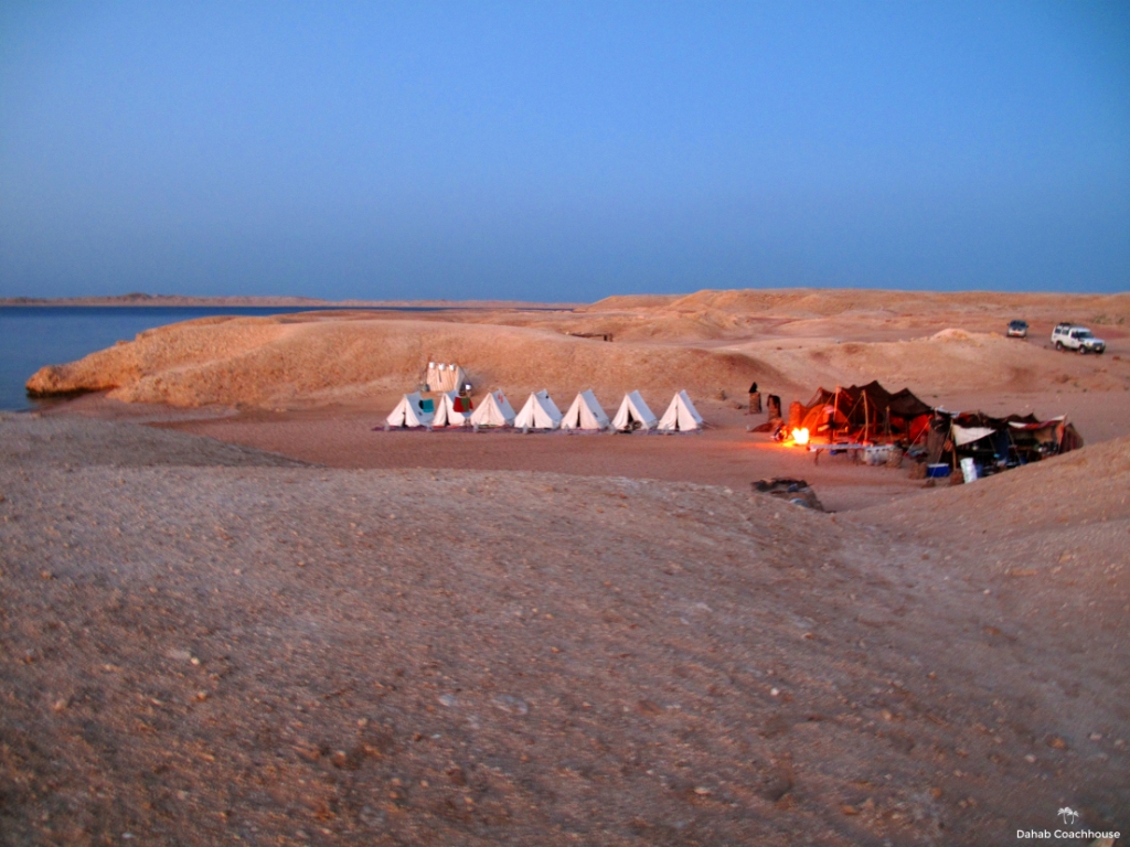 1_Dahab_Coachhouse_Sinai_Egypt_Dahab_Ras_Mohammed_Camping.JPG