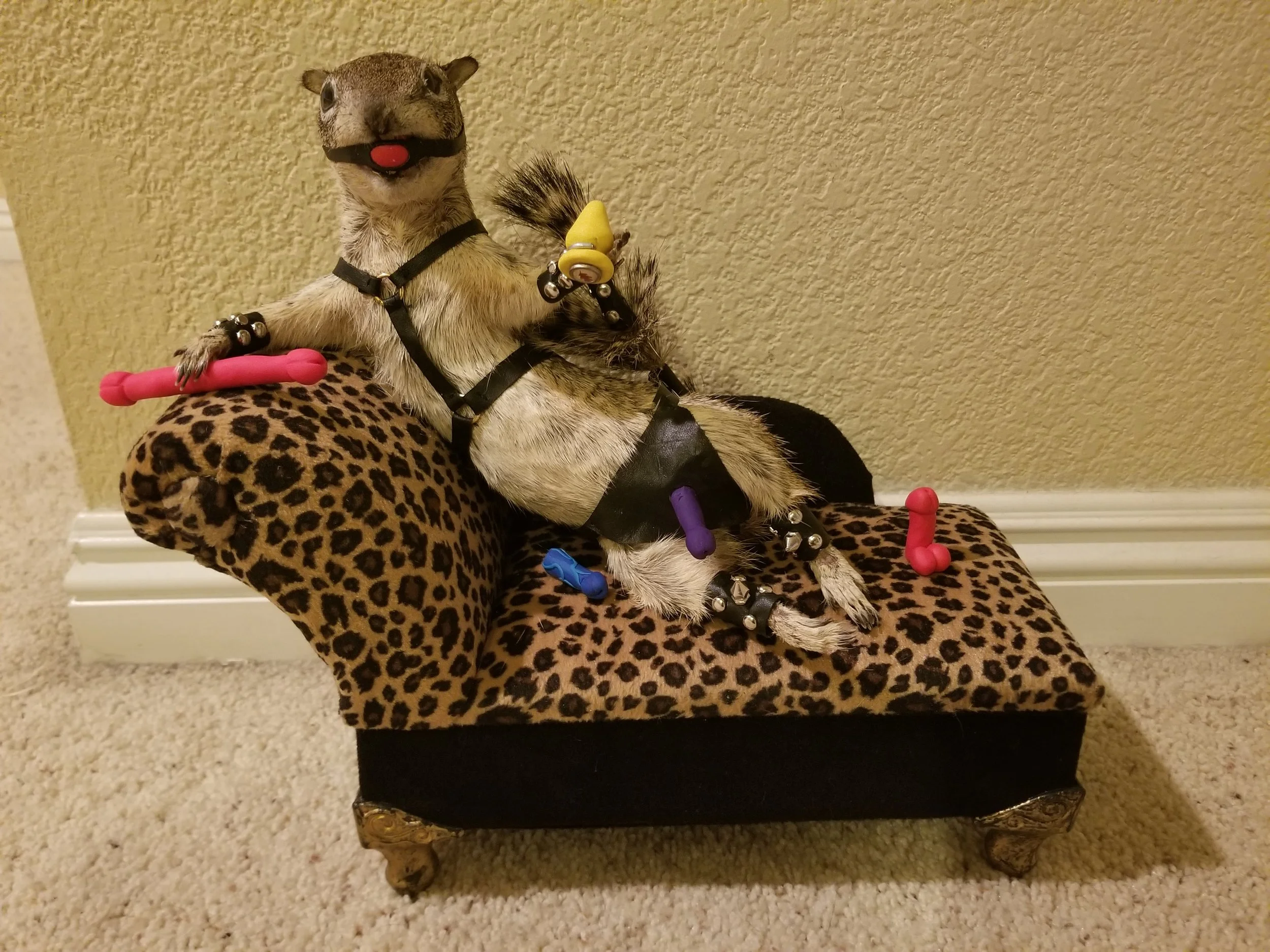 20180214_174855.jpg